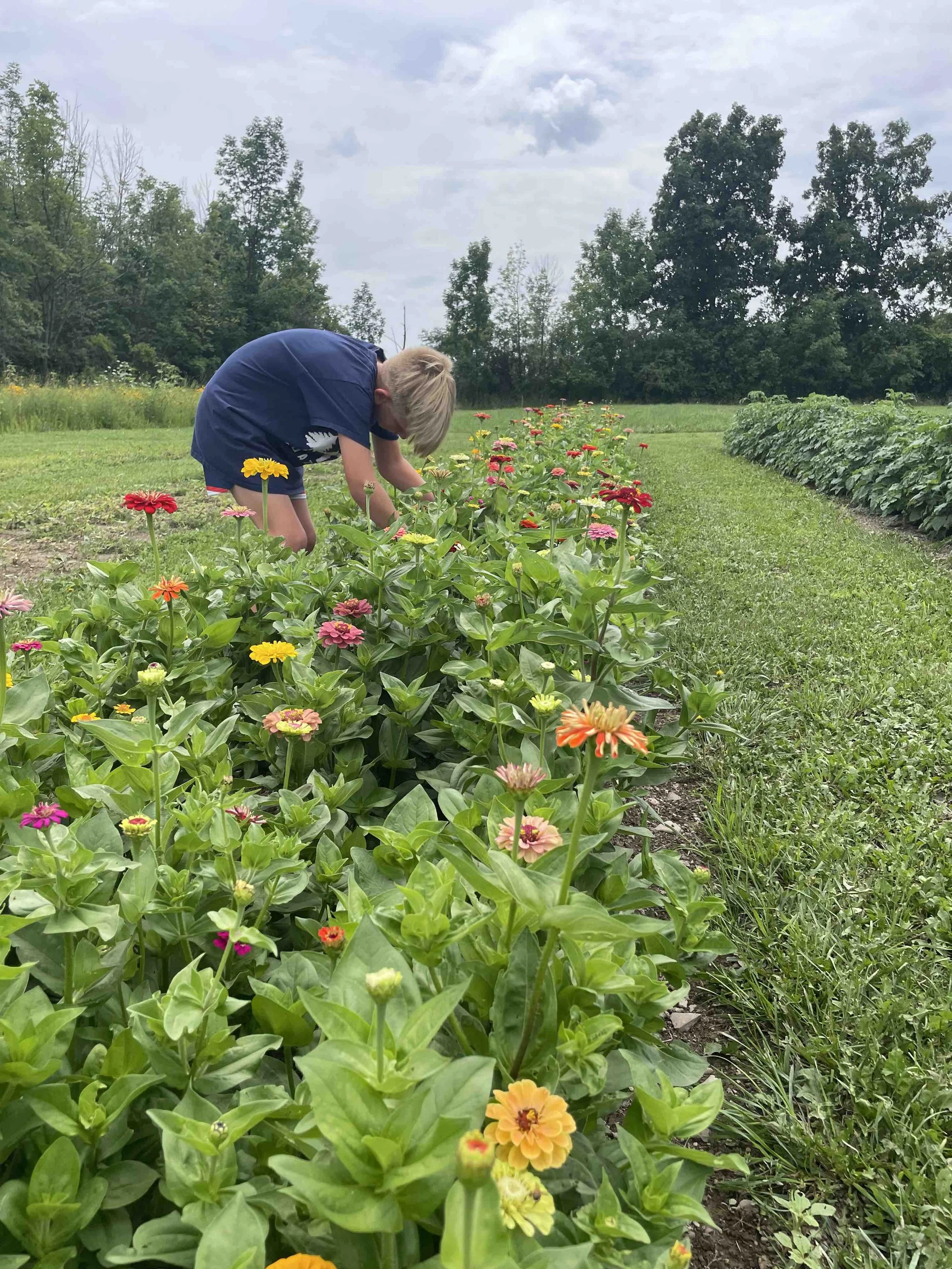 LaBarrFarm_UPick02.jpeg