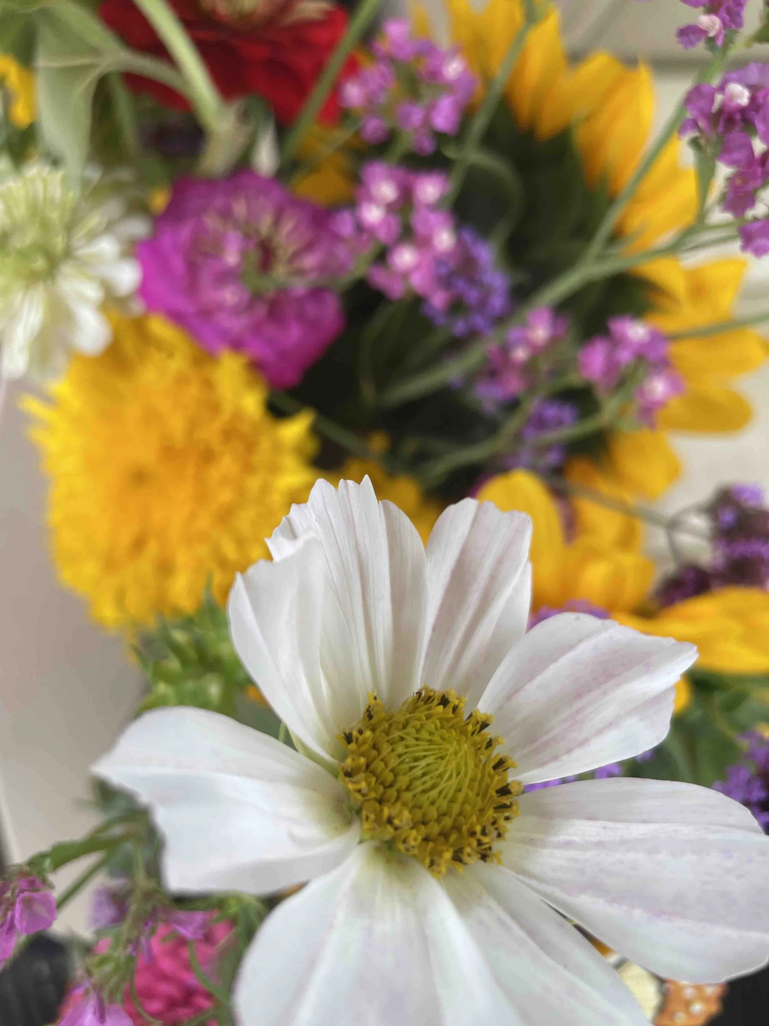 LaBarrFarm_Bouquet04.jpeg