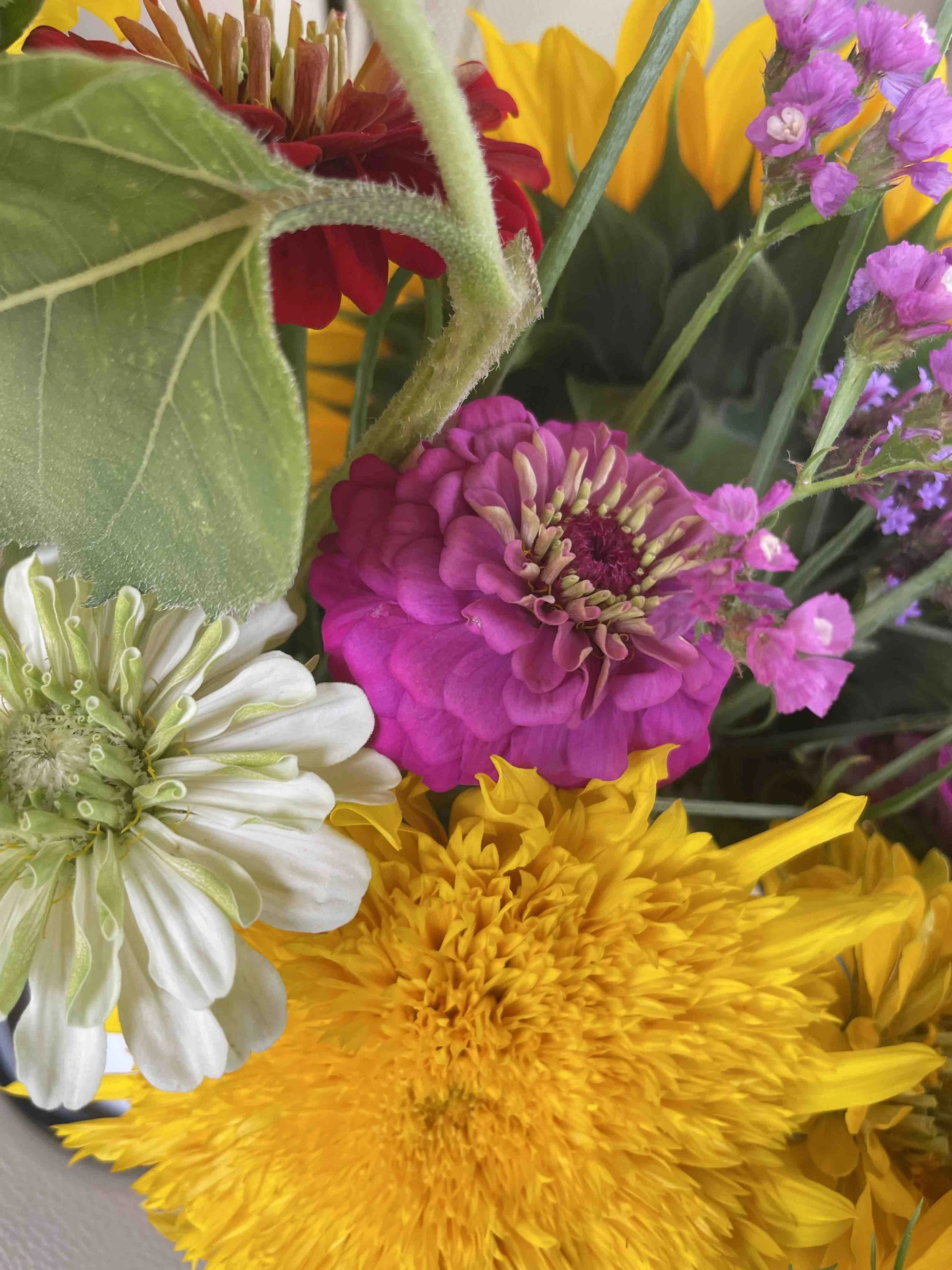 LaBarrFarm_Bouquet05.jpeg