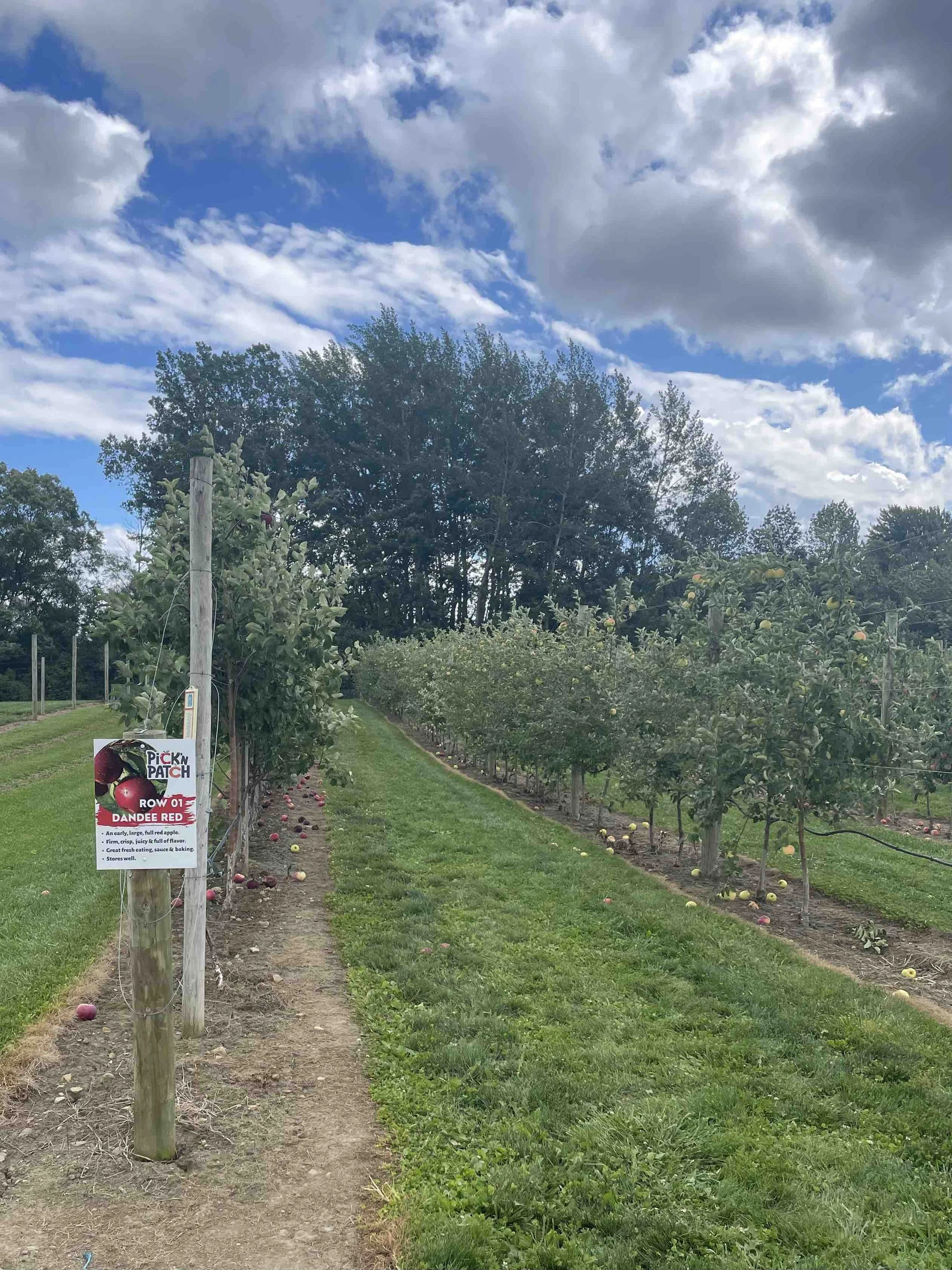 PickNPatch_AppleOrchard.jpeg