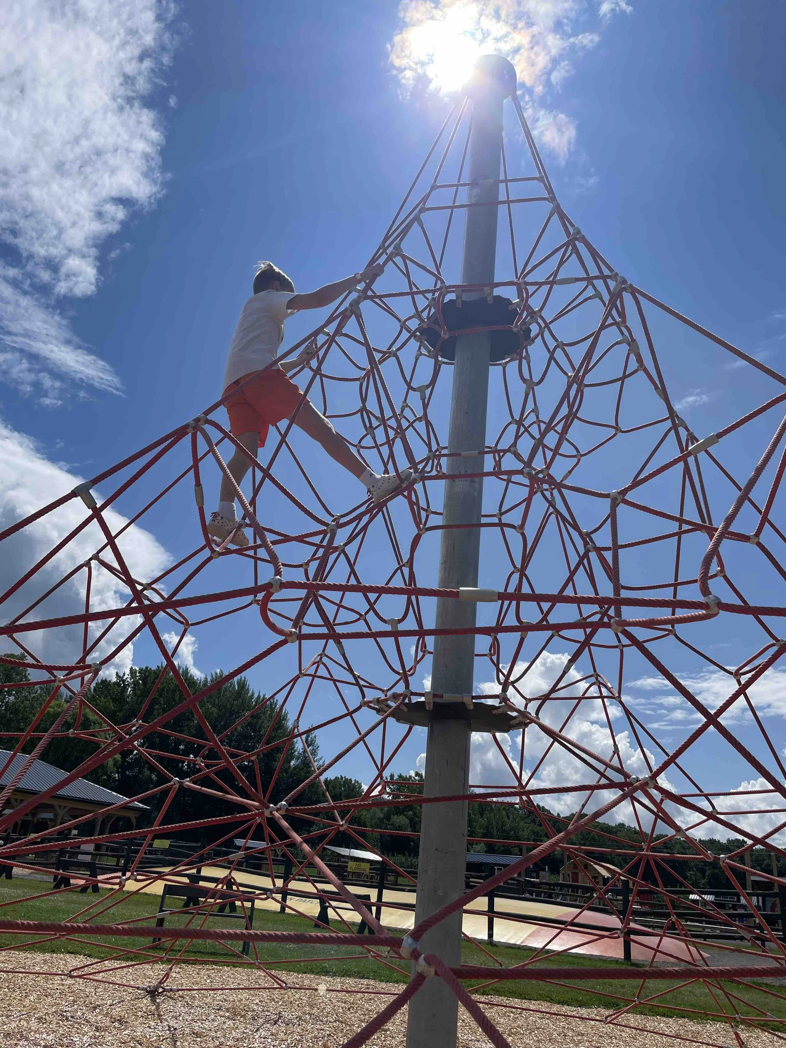 PickNPatch_BigClimber.jpeg