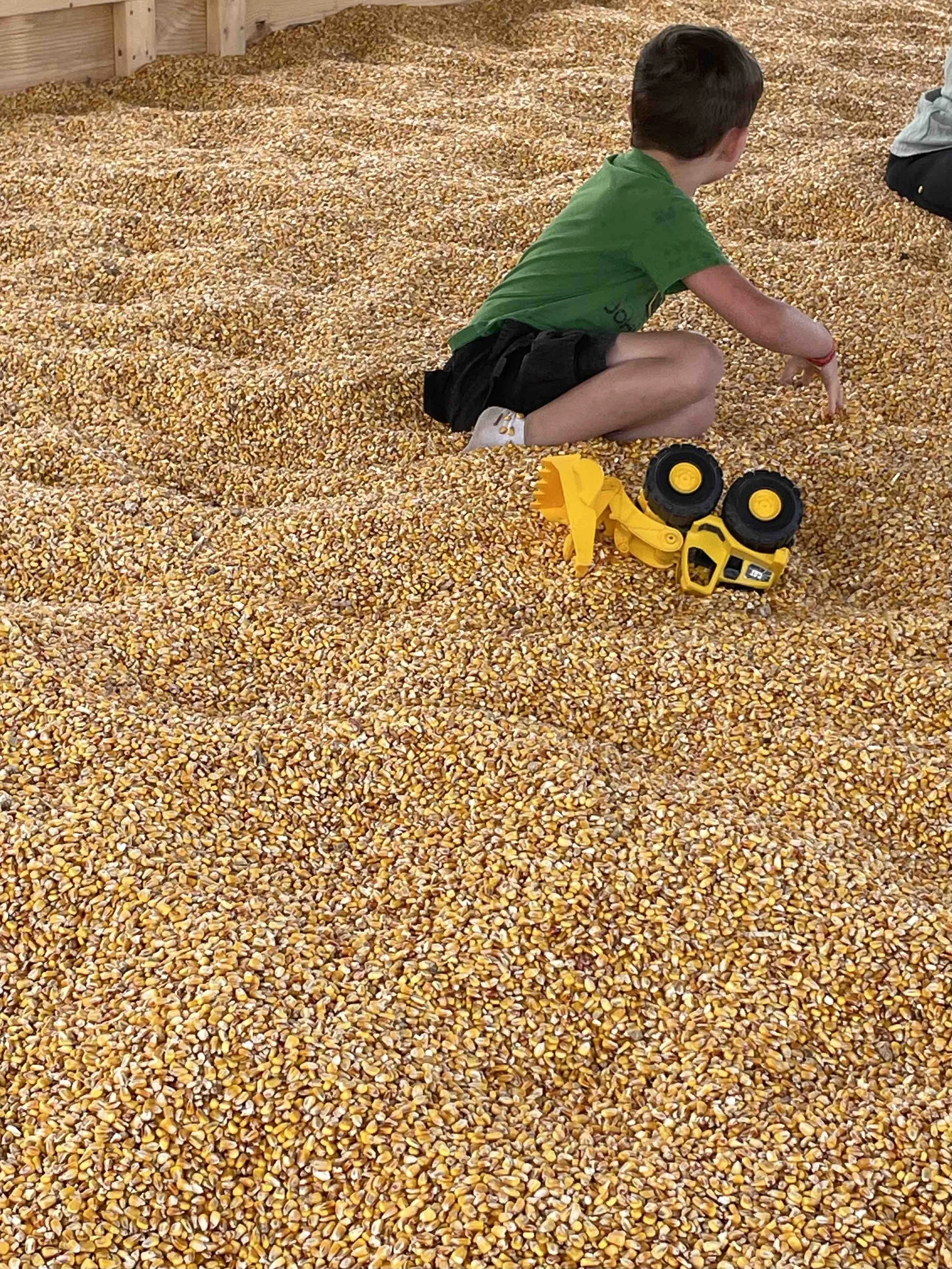 PickNPatch_CornBin.jpeg