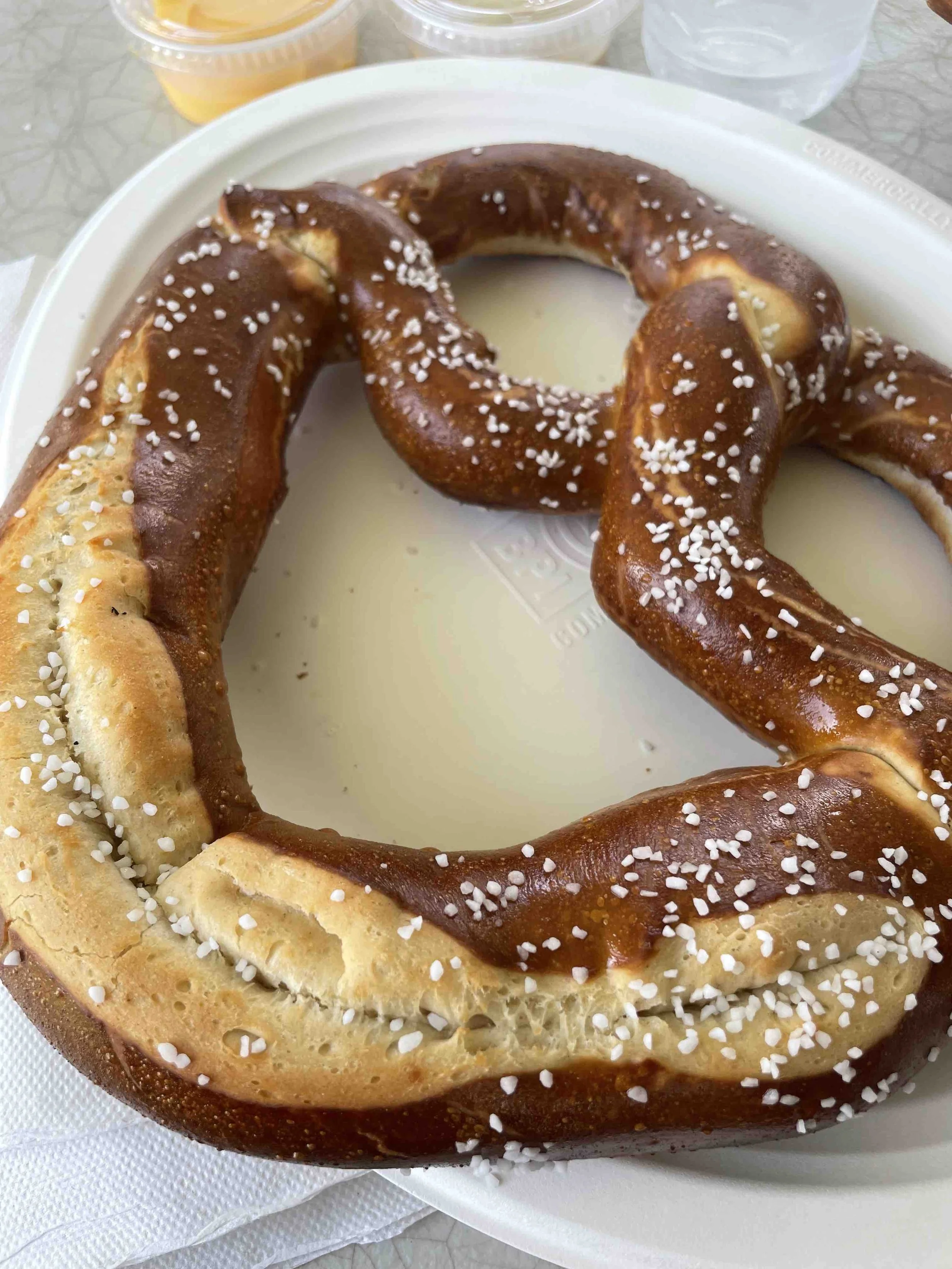 PickNPatch_GiantPretzel.jpeg