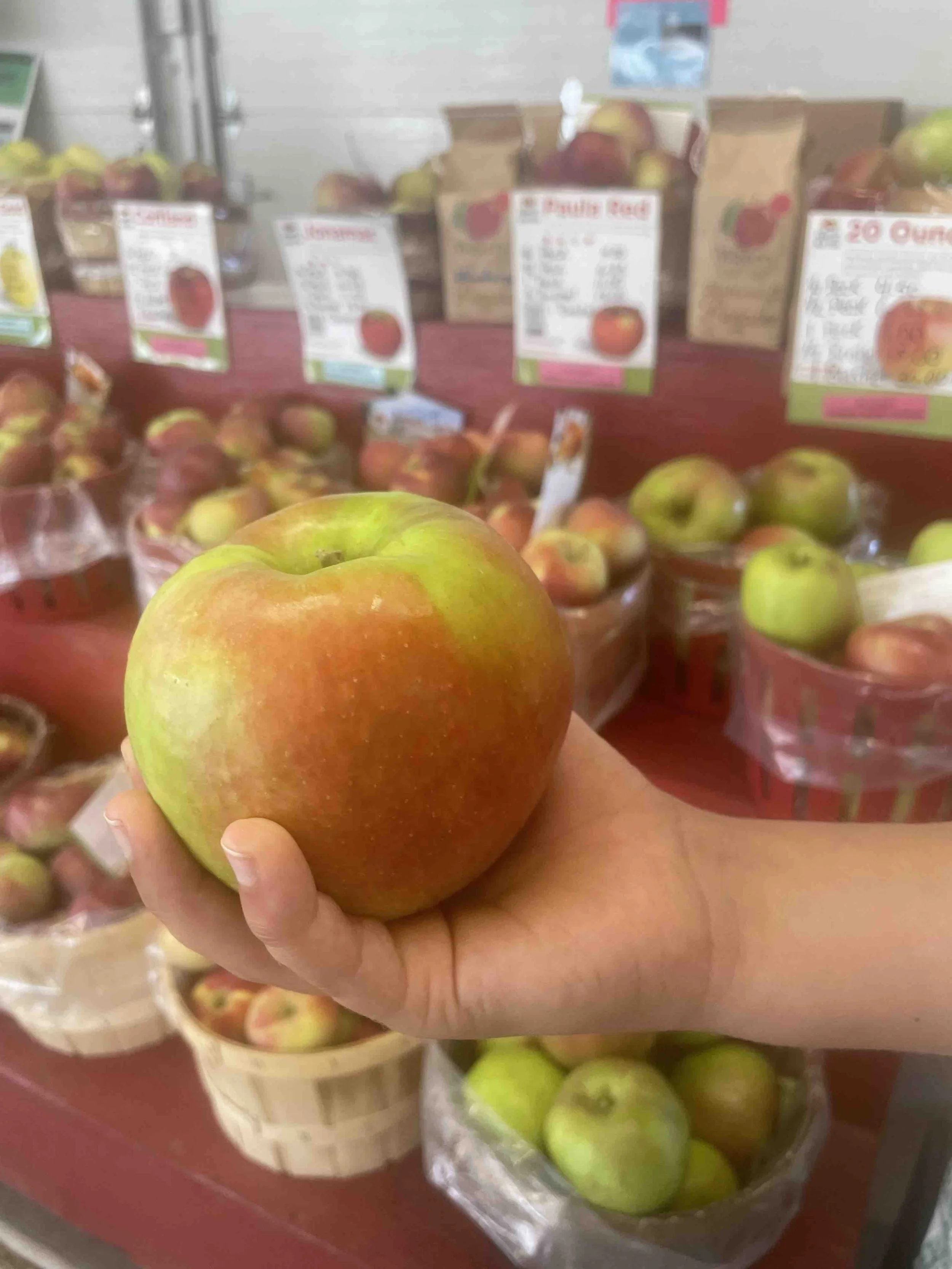 Windmill_Apple.jpeg