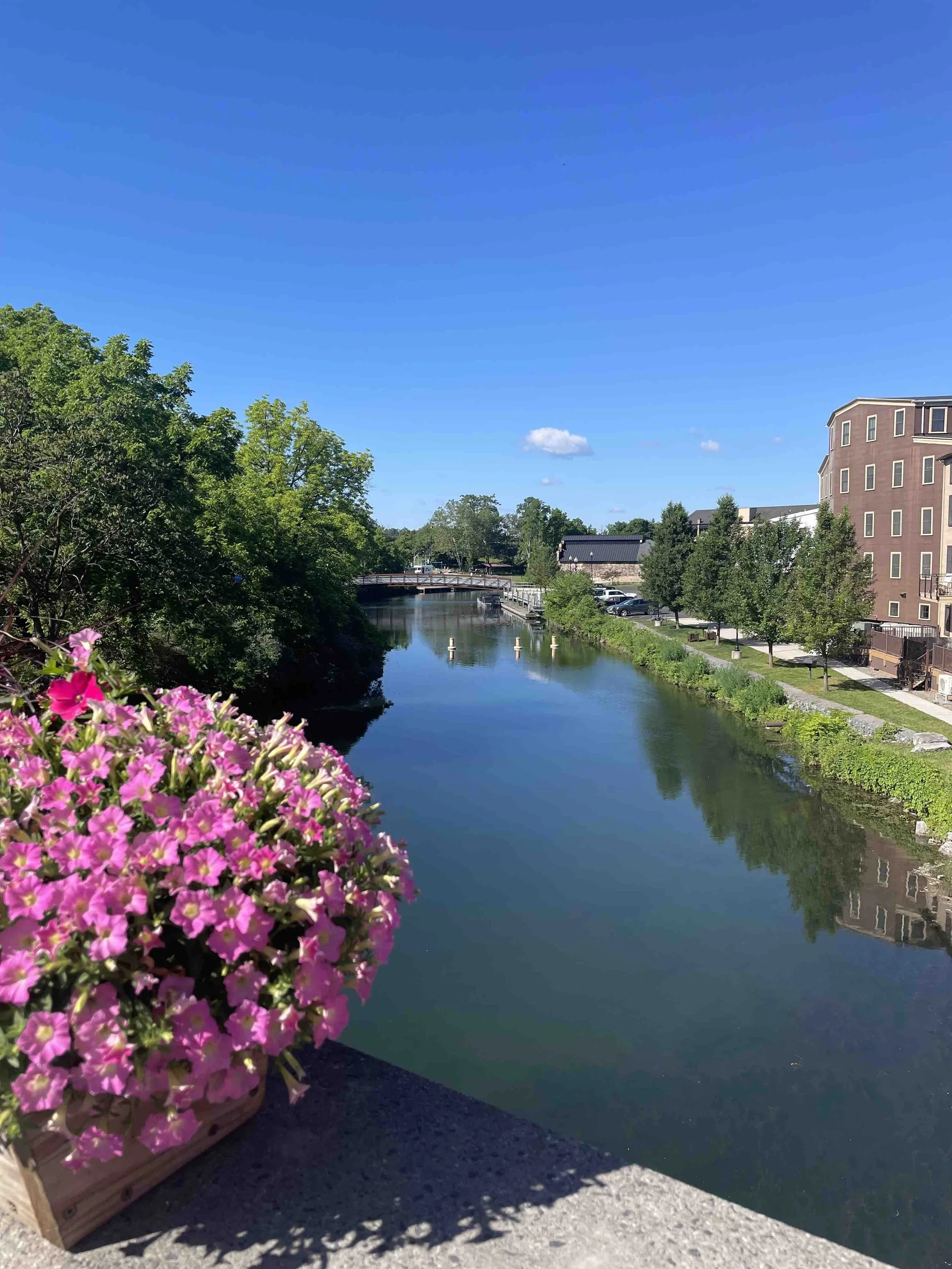 BridgePY.jpeg