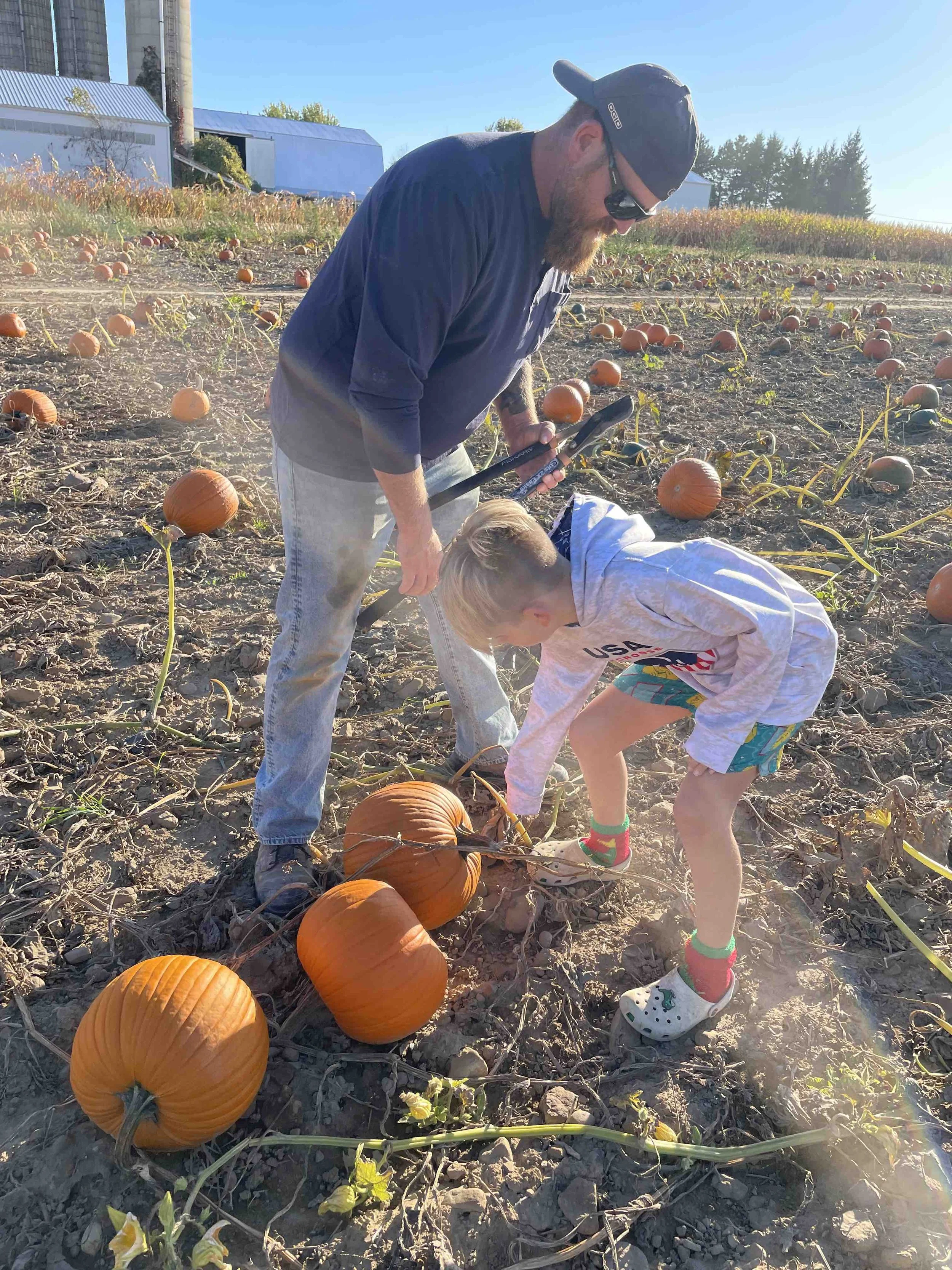 LilyeaFarms_PIckingPumpkins1.jpeg