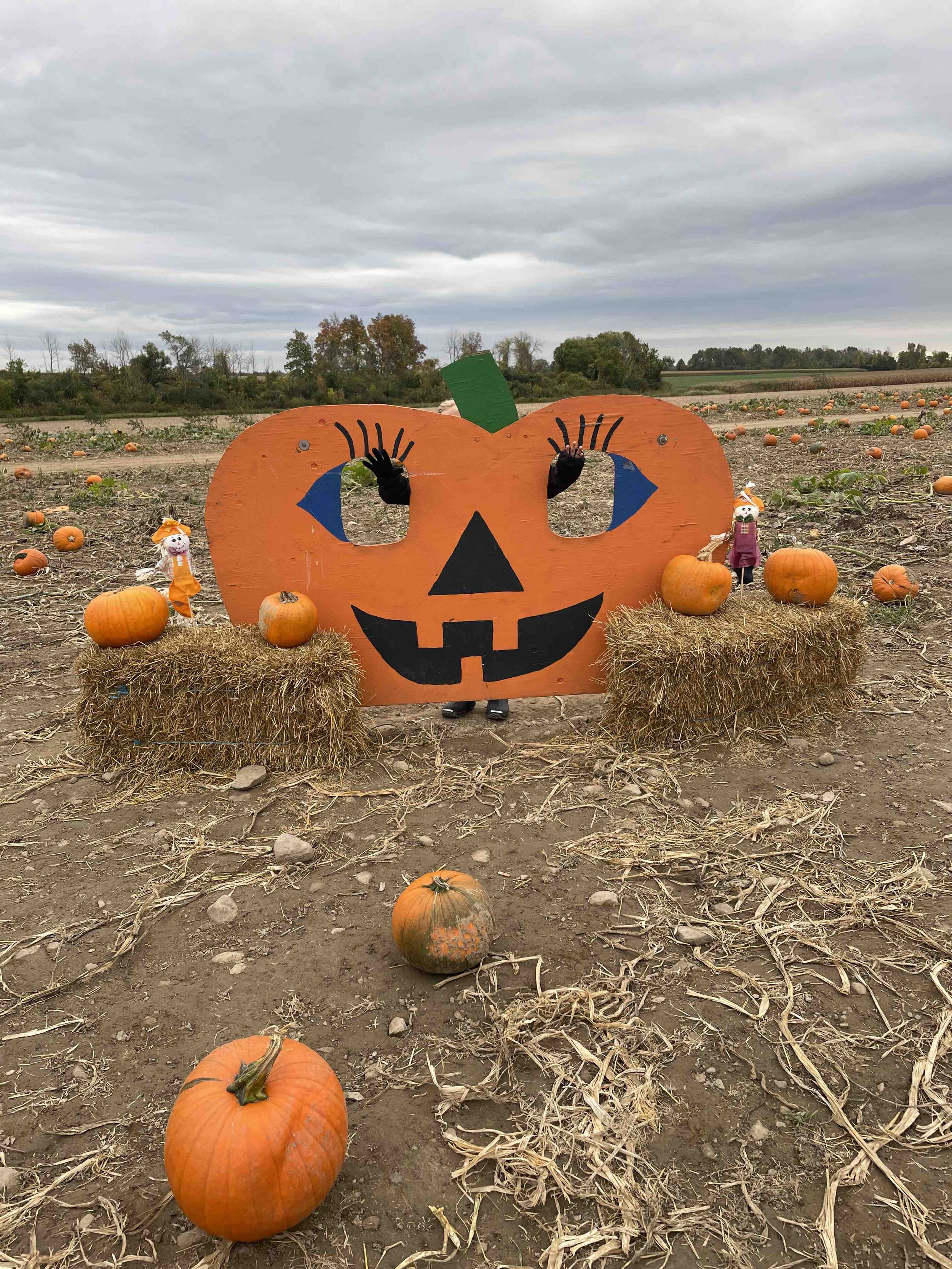LilyeaFarms_PumpkinPhotoOp1.jpeg