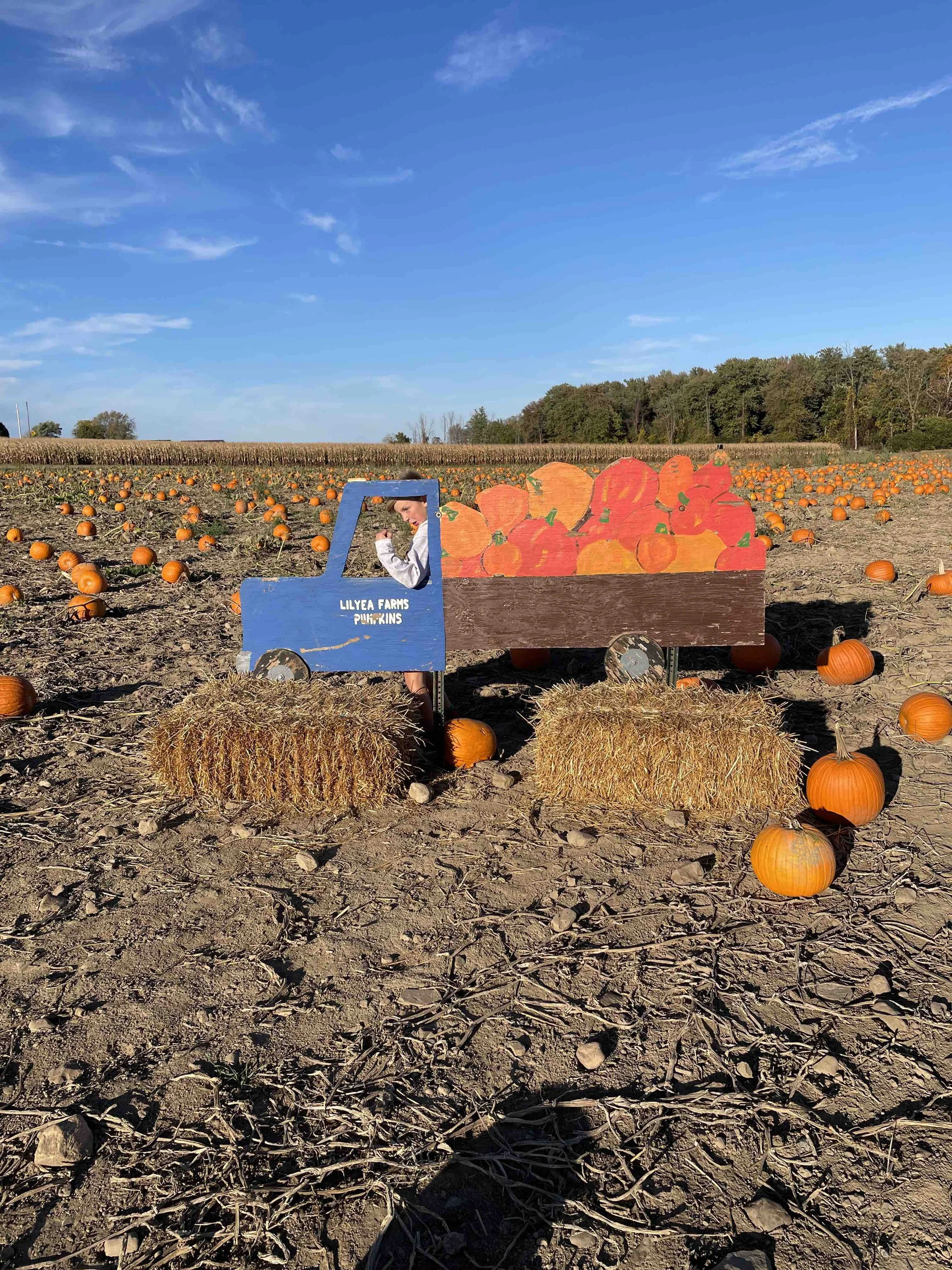 LilyeaFarms_PumpkinPhotoOp3.jpeg