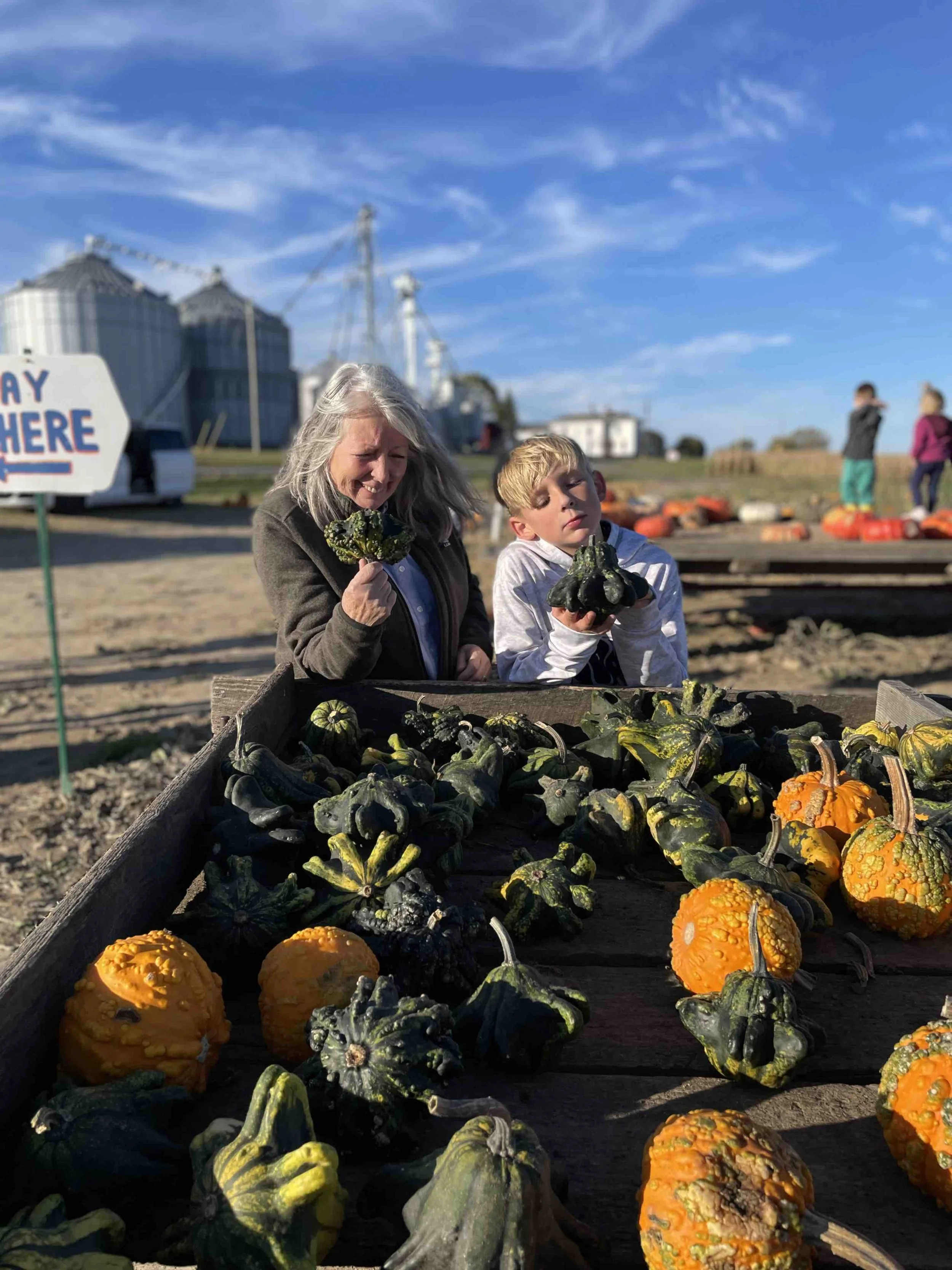 LilyeaFarms_Pumpkins2.jpeg