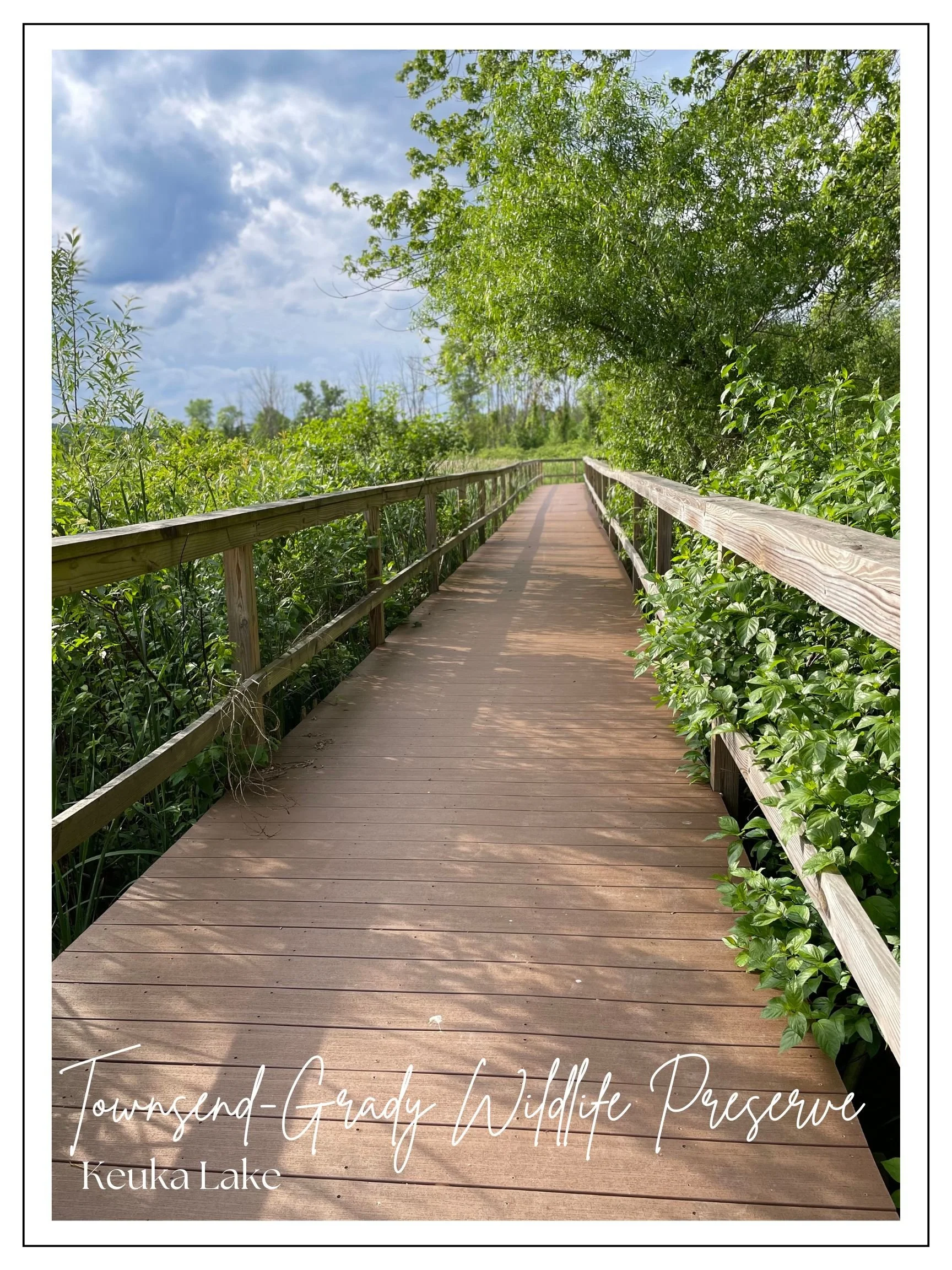 Wildlife Preserve on Keuka Lake