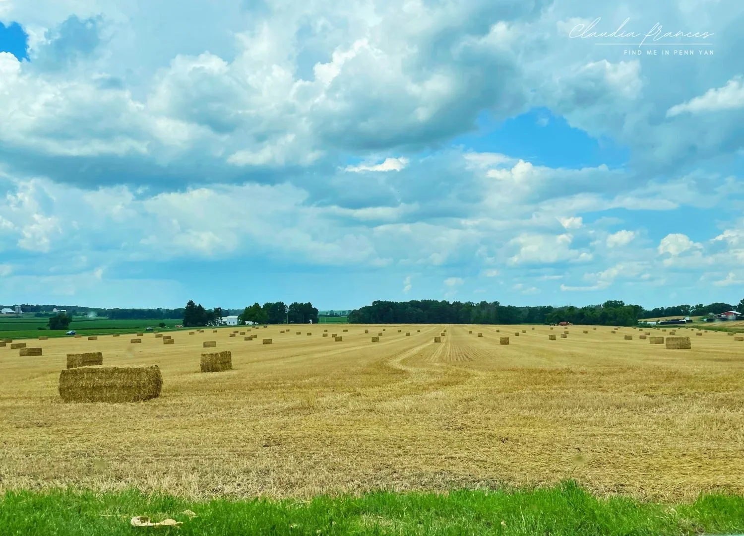 A vast farmland with numerous hay bales spread across the field. The sky above is partly cloudy with a mix of white fluffy clouds and patches of blue. There are some farm buildings and trees in the background.