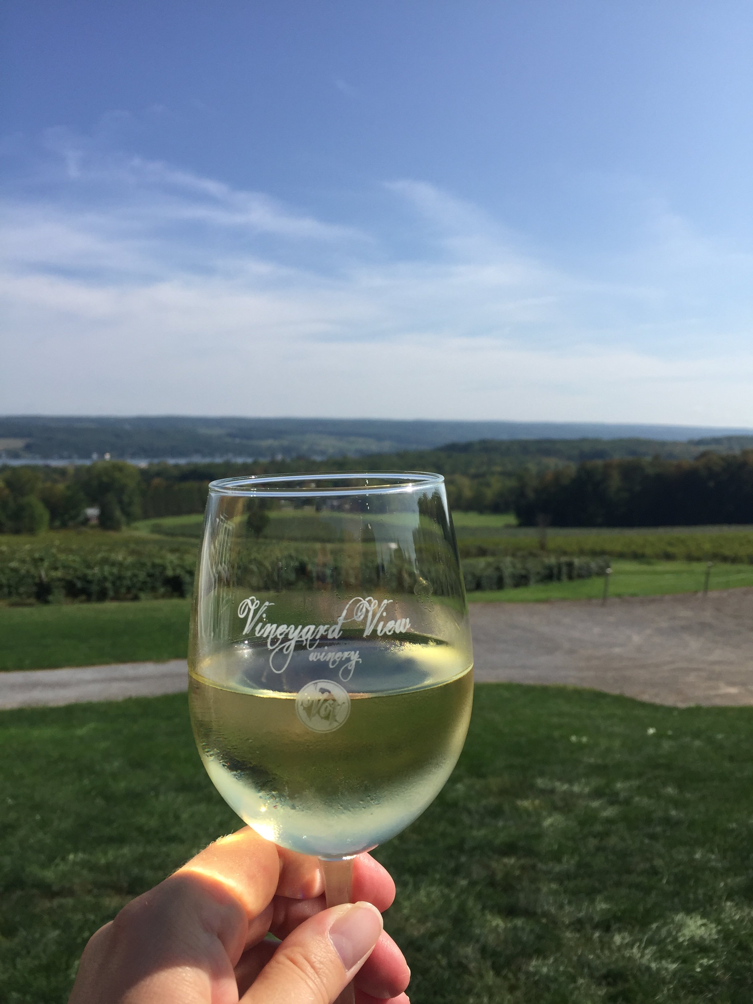 A hand holding a glass of white wine with a scenic landscape of green fields, trees, and hills under a blue sky with wispy clouds in the background.