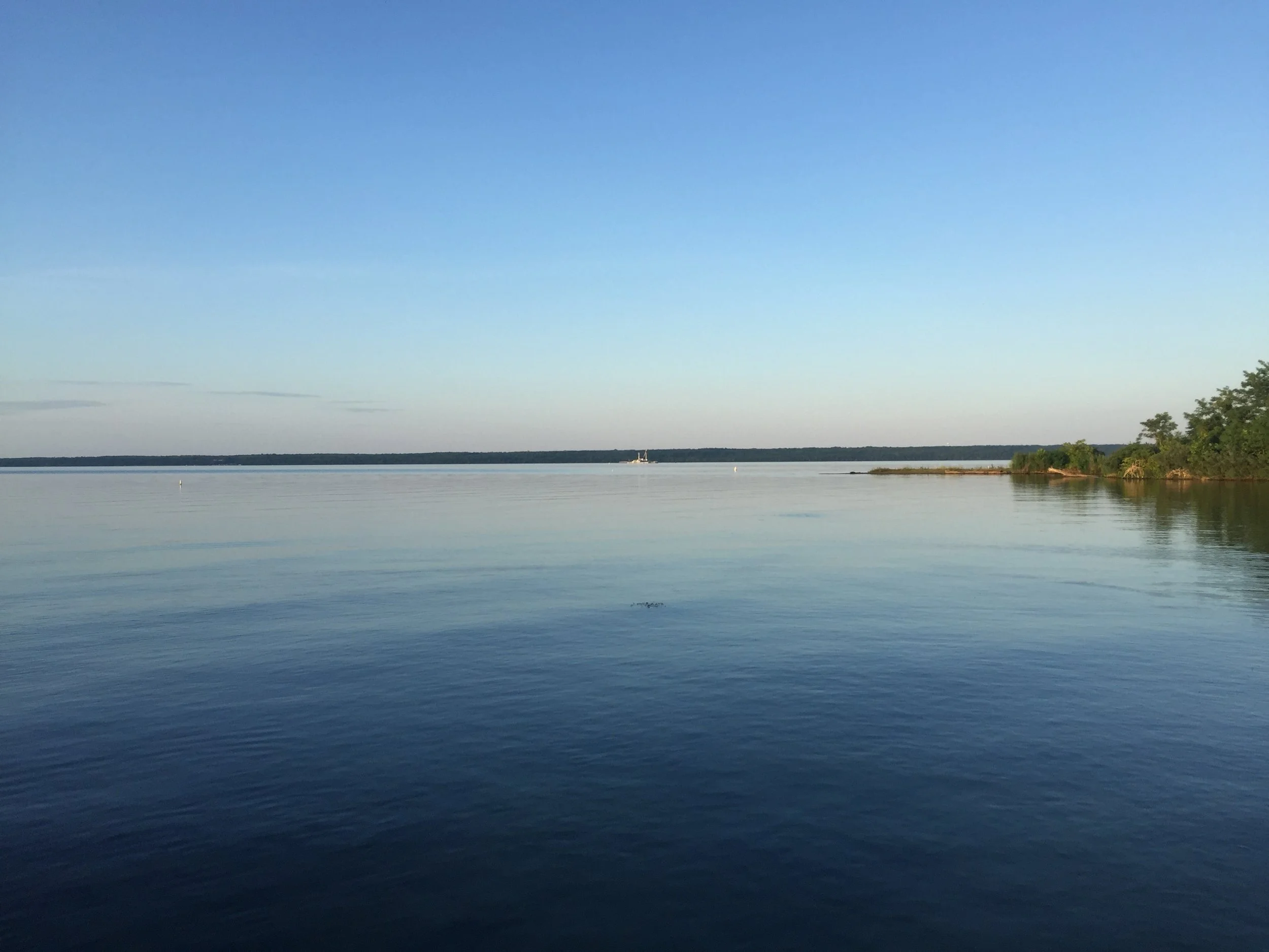 Calm body of water with a small sailboat and a lighthouse on the horizon, a tree on the right.