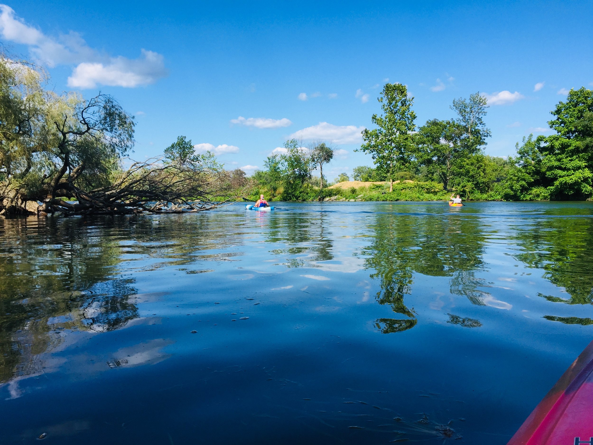 People kayaking on a calm river surrounded by lush green trees under a bright blue sky with scattered clouds.