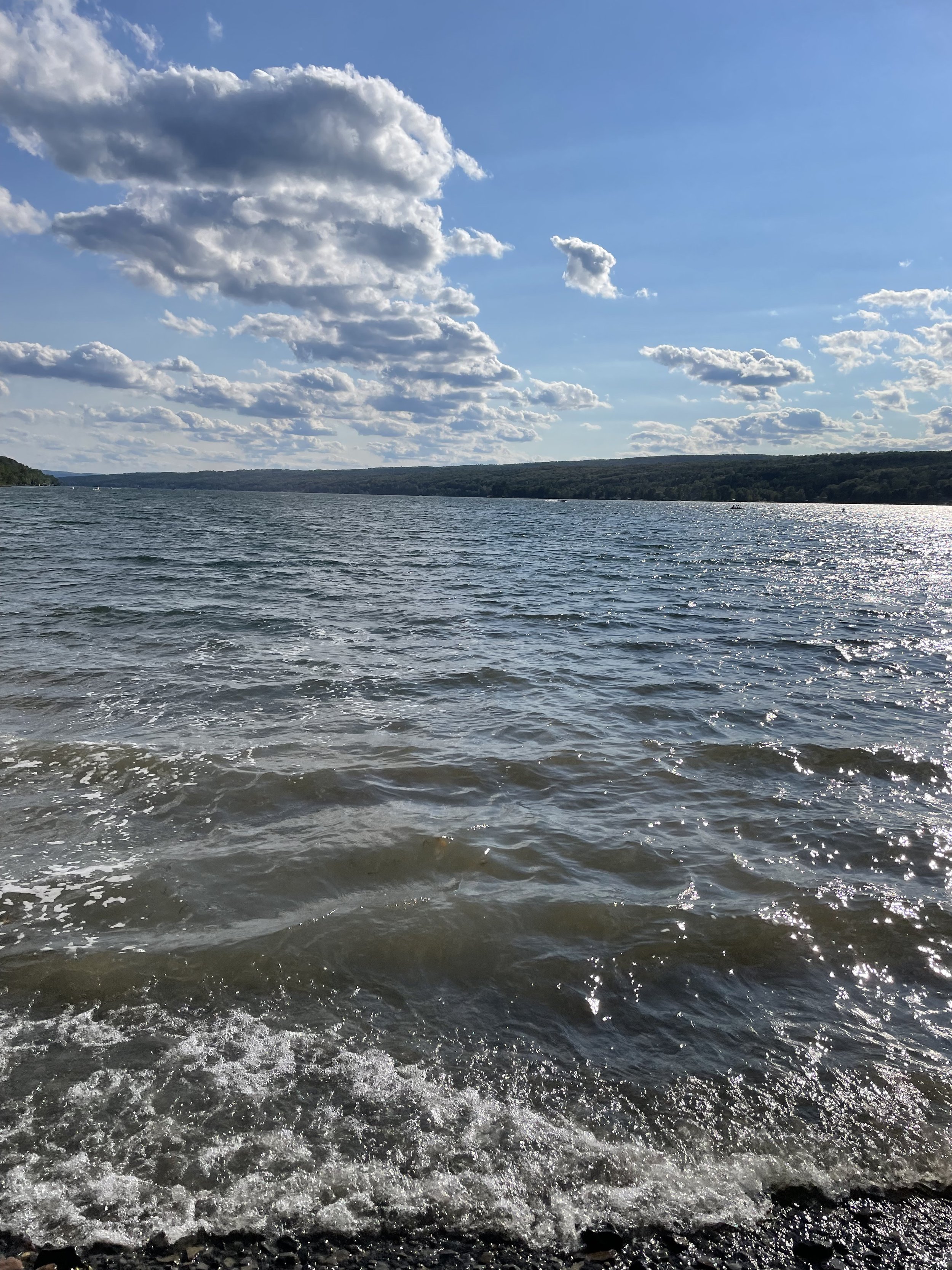 View of a body of water with small waves, a distant shoreline with trees, and a partly cloudy sky with some large clouds.
