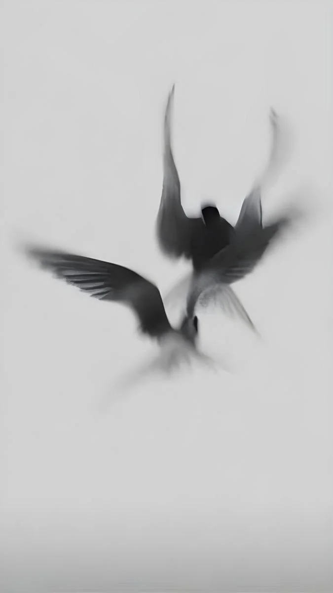 ‘Vultures Of Time’