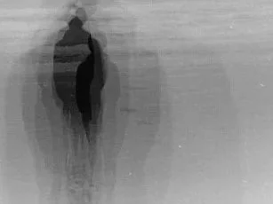 ‘Champagne With Ghosts’
