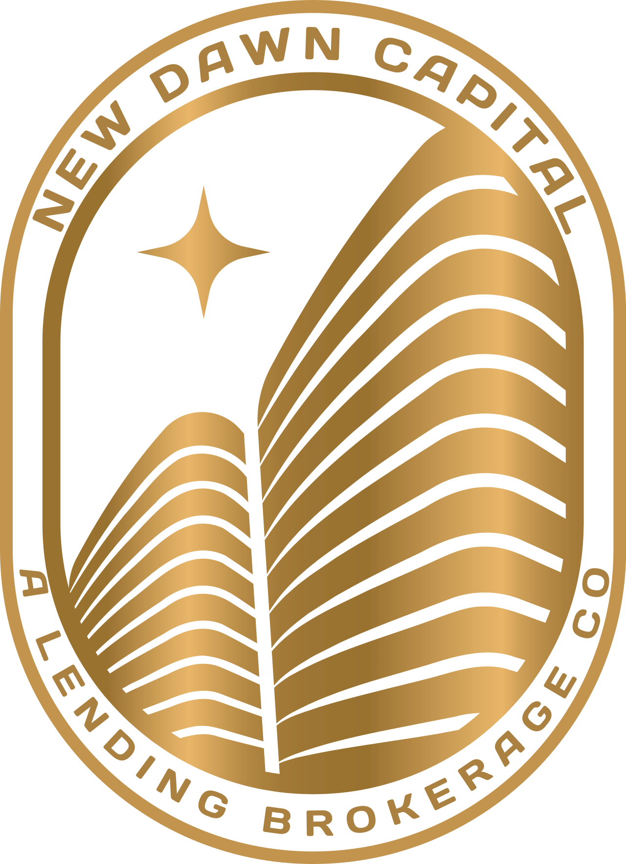 New Dawn Capital