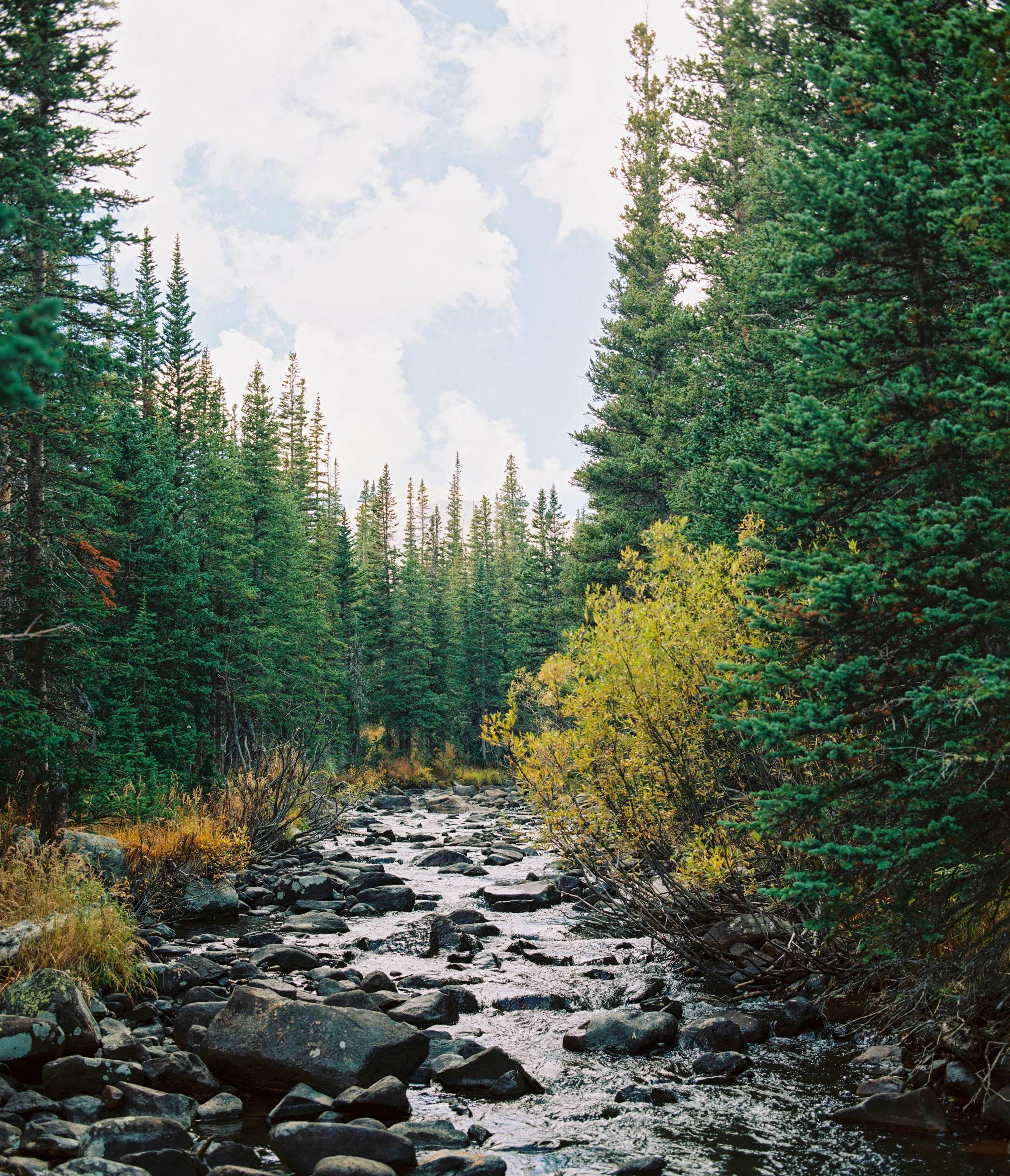 2692001429-R1-E004.JPG