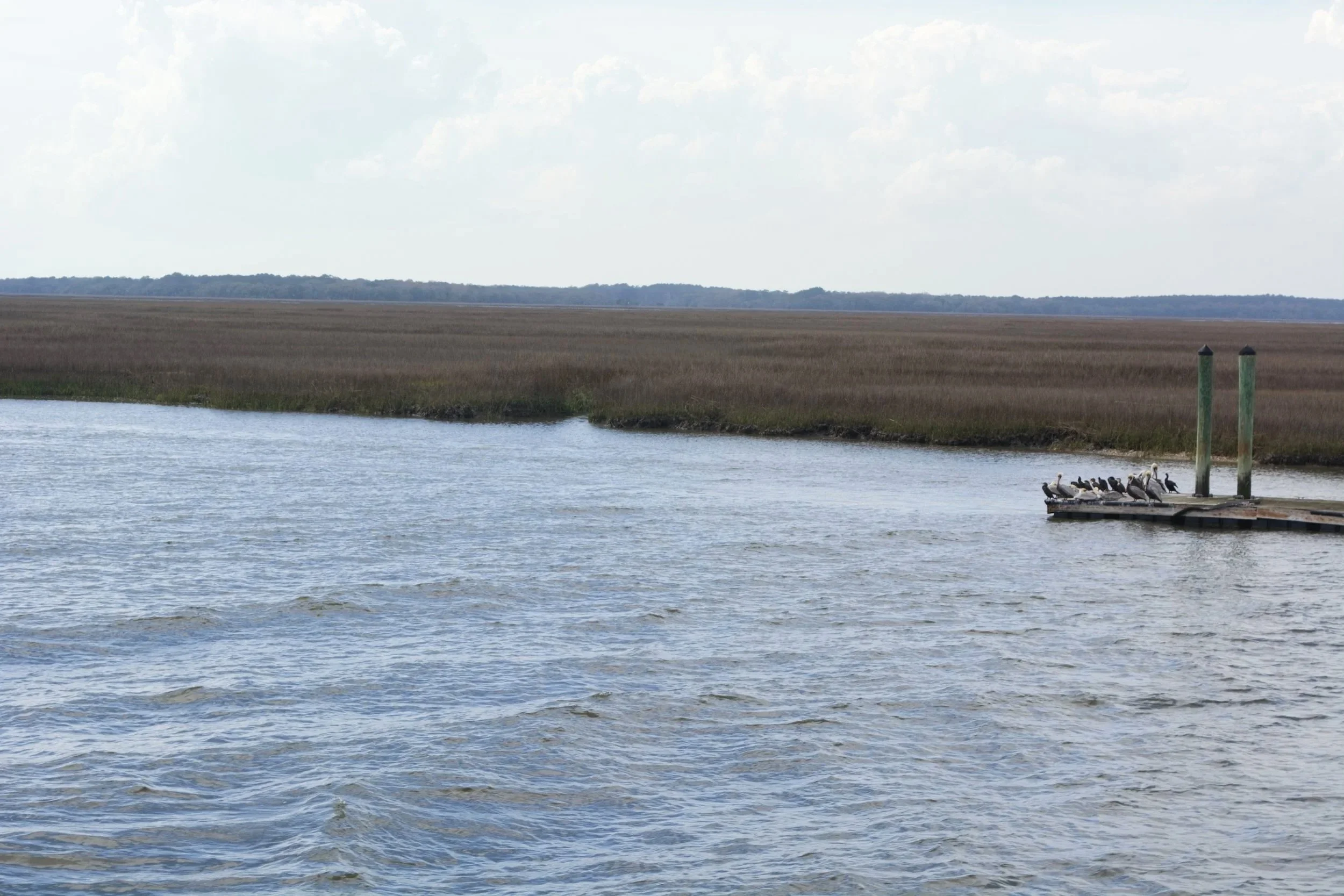 DSC_0279.jpg