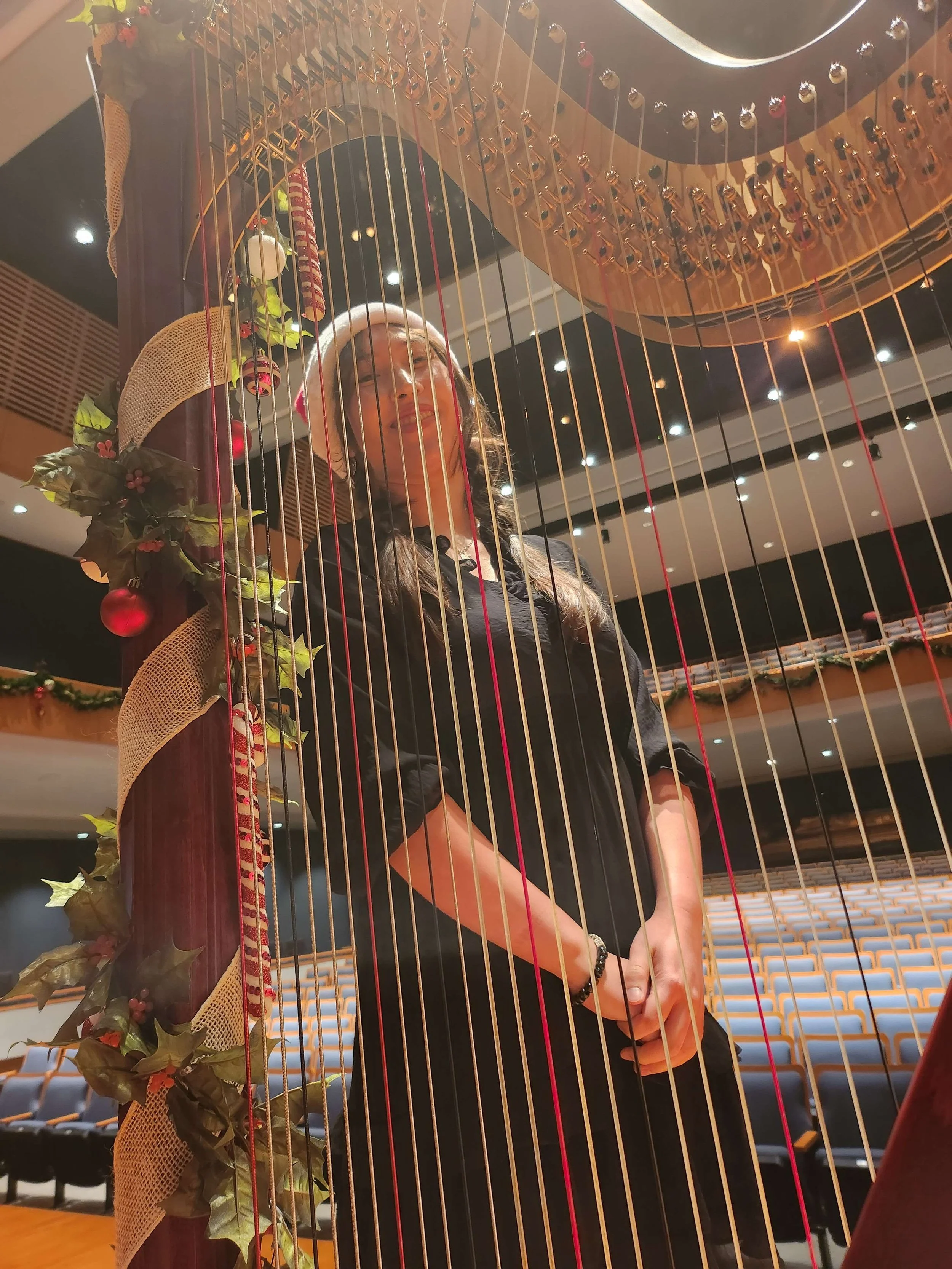 Harp decorated for Christmas