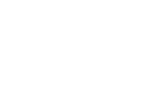 Professional Deep Cleaning