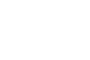 Repairs & Fault Diagnosis