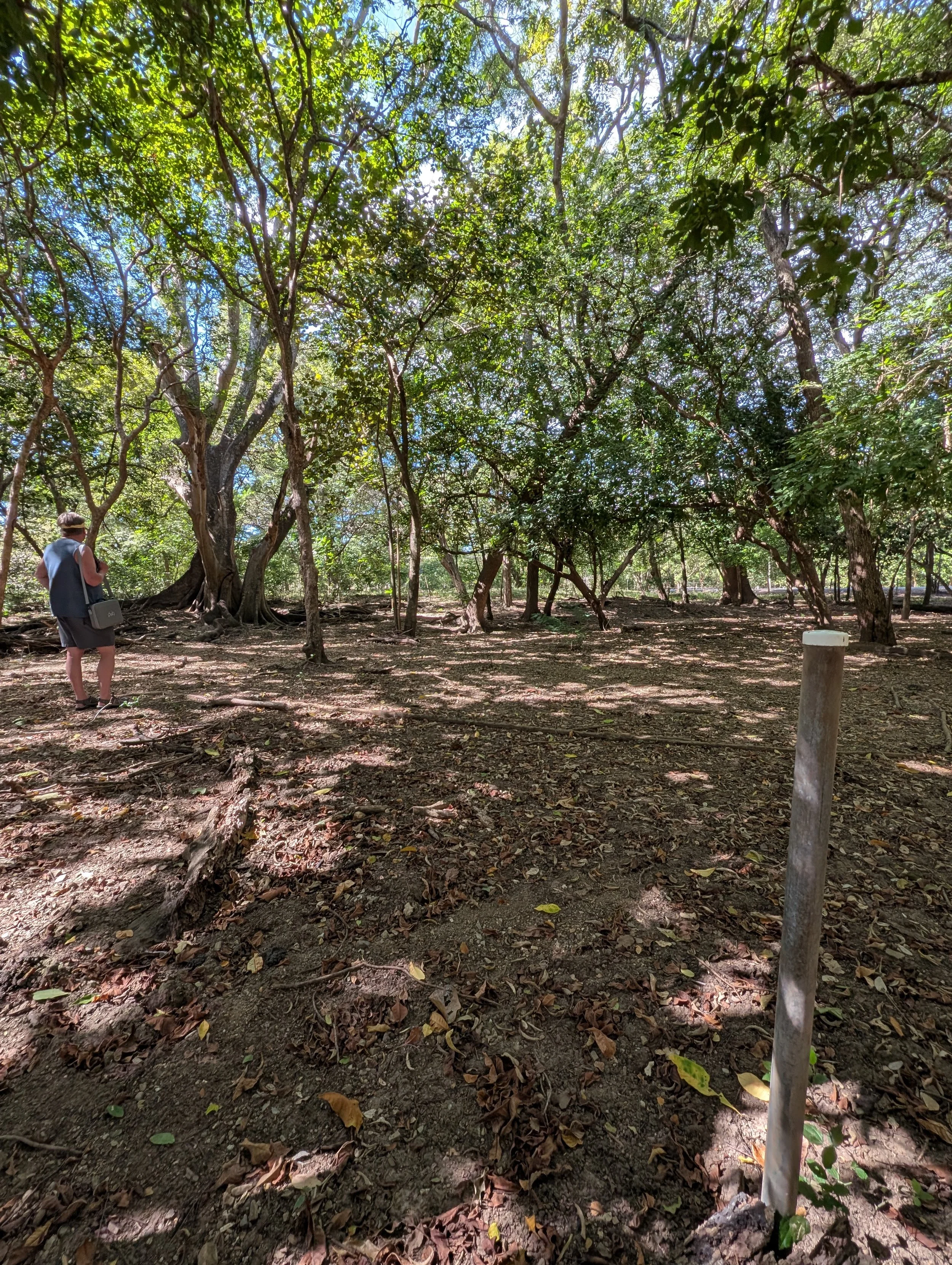 The Property