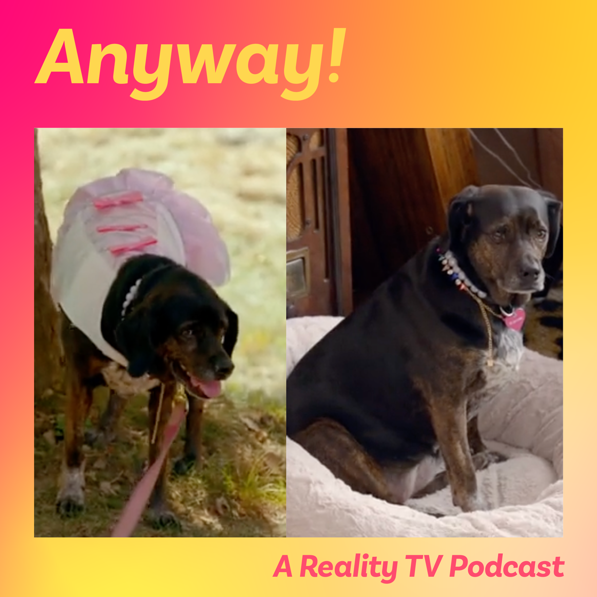 Real Housewives of Rhode Island S1E8