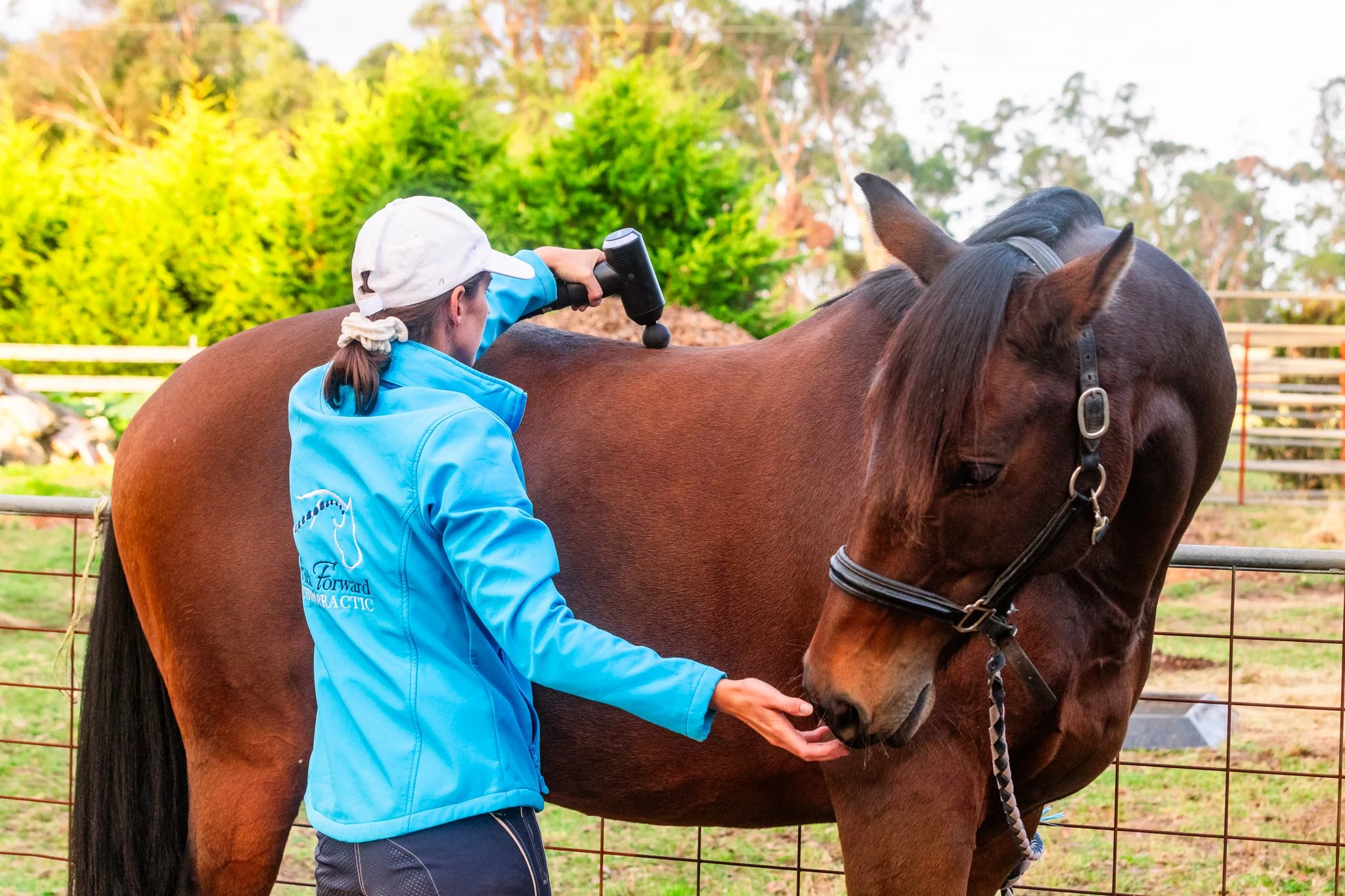 Dr Felicity Warren, human and equine chiropractor operates across South Gippsland, Bass Coast and Mornington Peninsula. She is pictured here, helping a horse with expert chiropractic care.