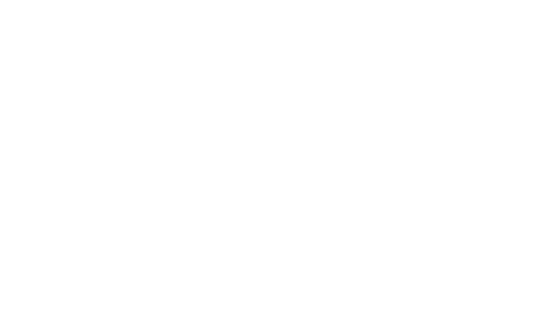 MMCG INC.