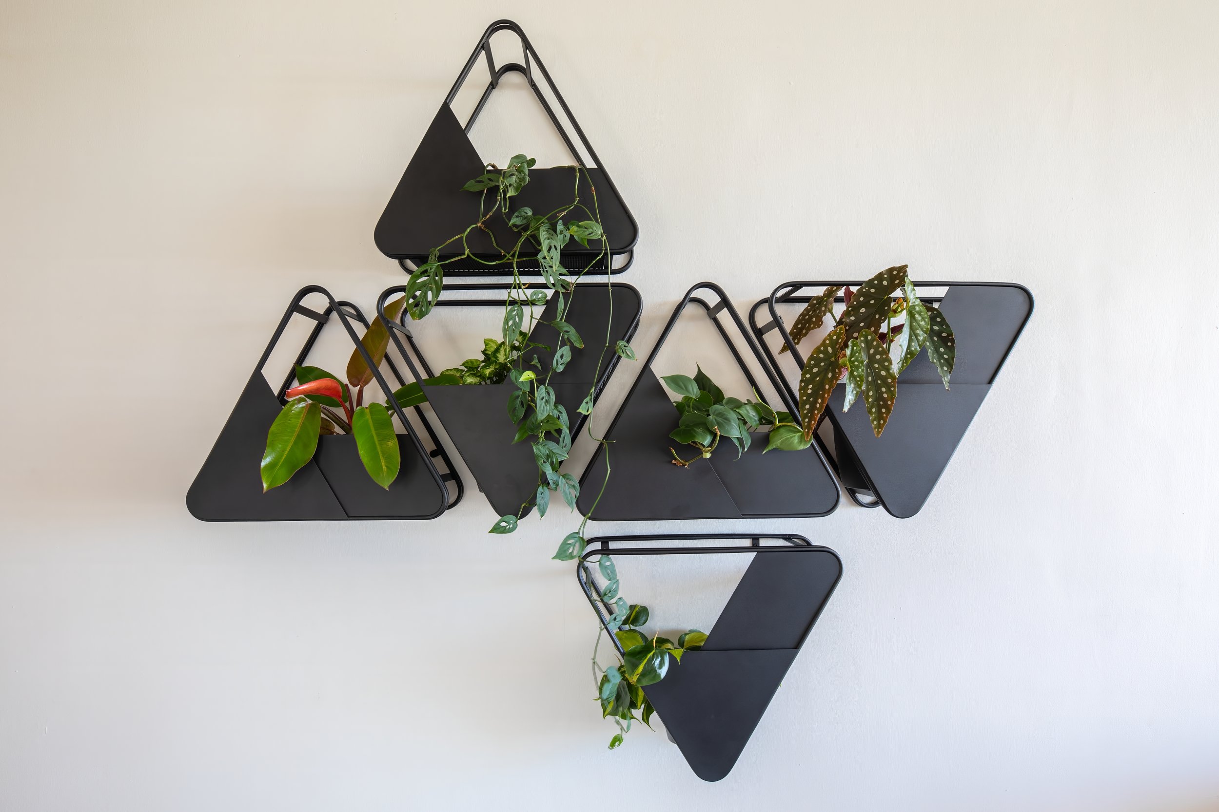 Planters