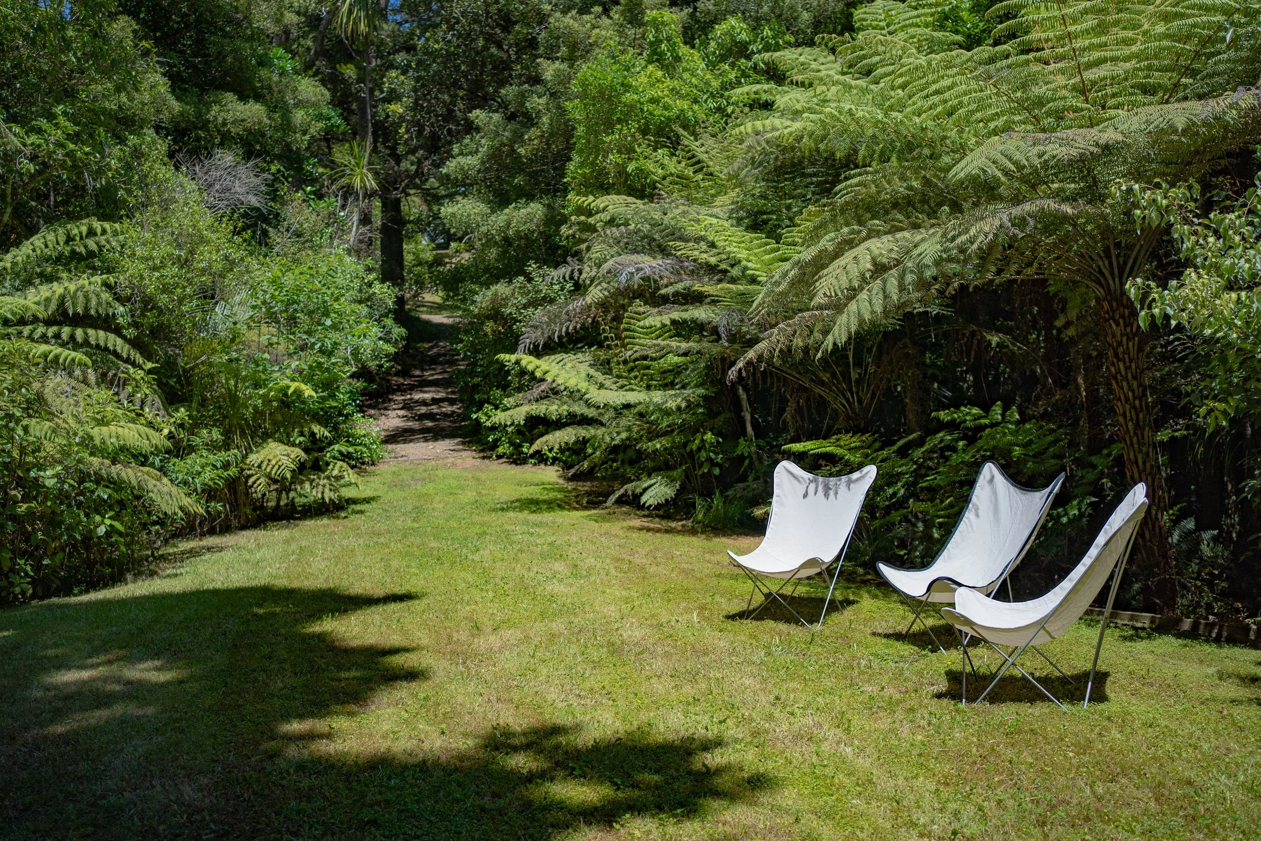 A grassy yard with a row of four white camping chairs facing trees and green bushes in a backyard setting.