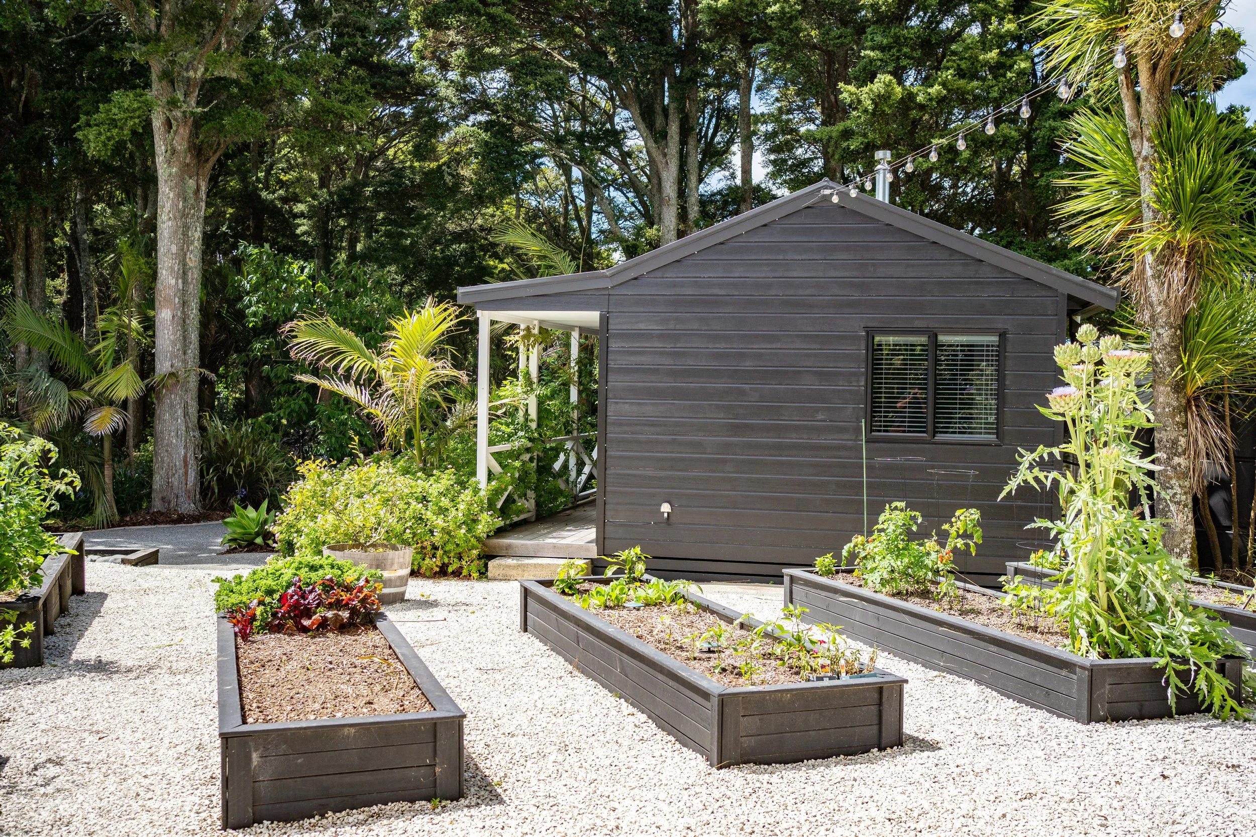 A small gray wooden house or garden shed surrounded by a lush garden with various plants and trees, gravel pathways, and outdoor string lights overhead.