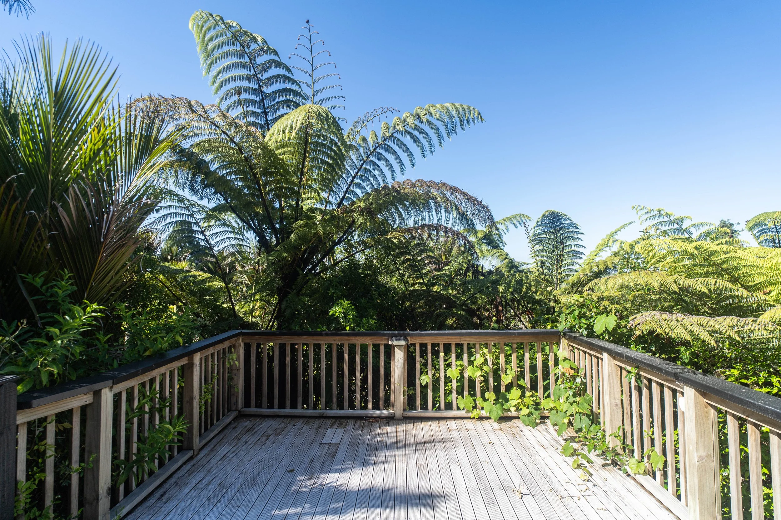 Wooden deck with a railing surrounded by lush green tropical plants and trees under a bright blue sky.