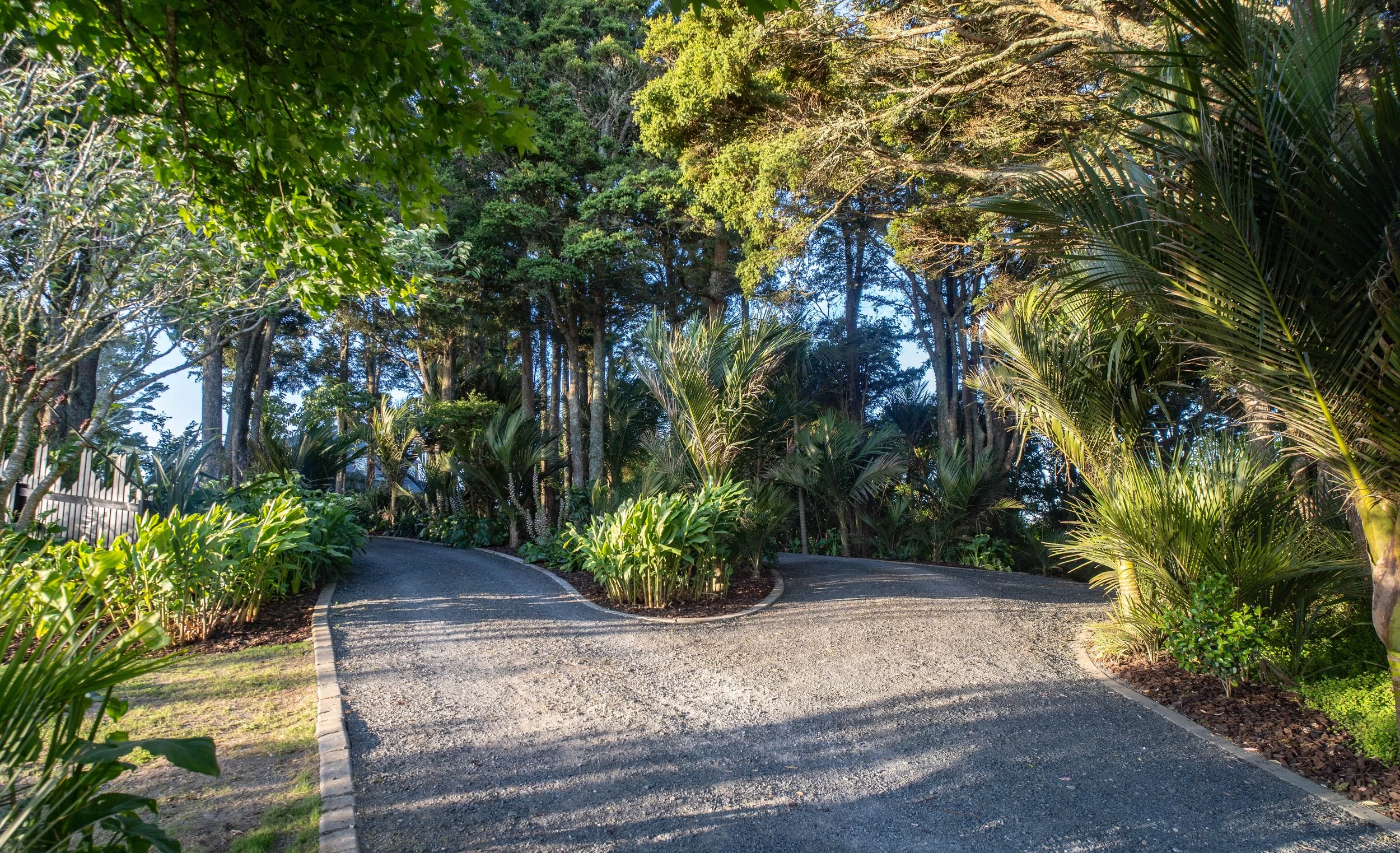 A winding gravel pathway through a lush, green, forested area with dense trees and tropical plants on both sides, sunlight filtering through the leaves.