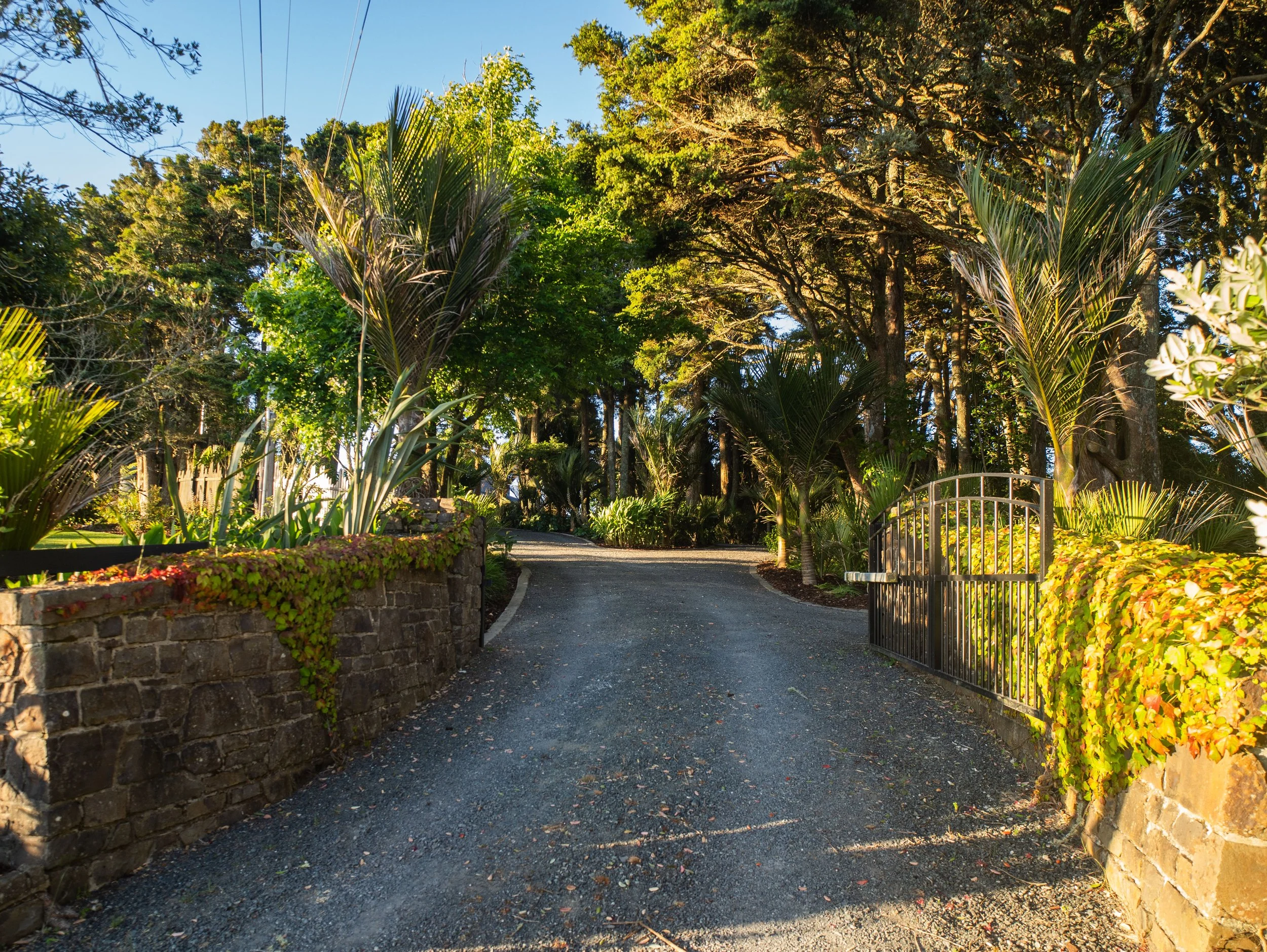 A gravel pathway curves through a lush garden with a stone wall barrier on the left and a white metal gate on the right. Tall trees and green foliage surround the scene, with sunlight filtering through the leaves.