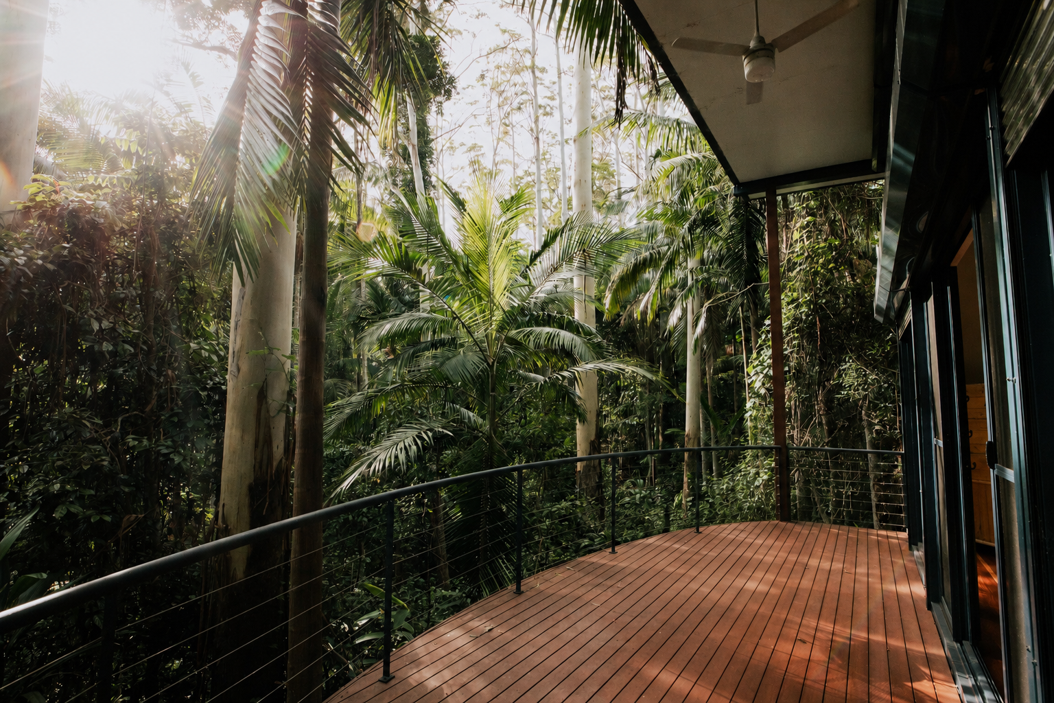 Curved timber deck wrapping around a villa, level with the rainforest canopy