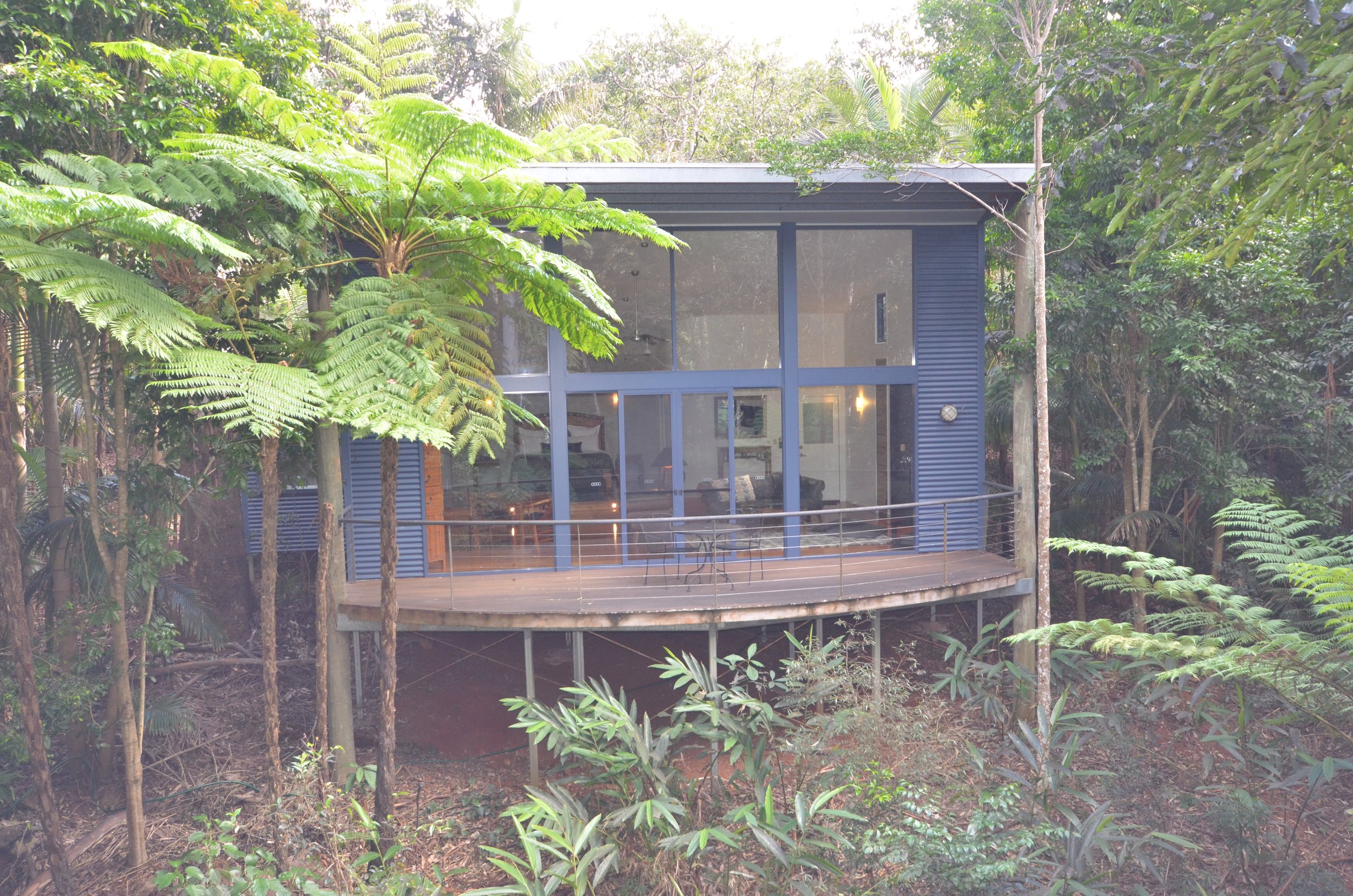 A modern glass house with a metal roof is elevated on stilts in a lush green forest surrounded by tall trees and dense foliage.