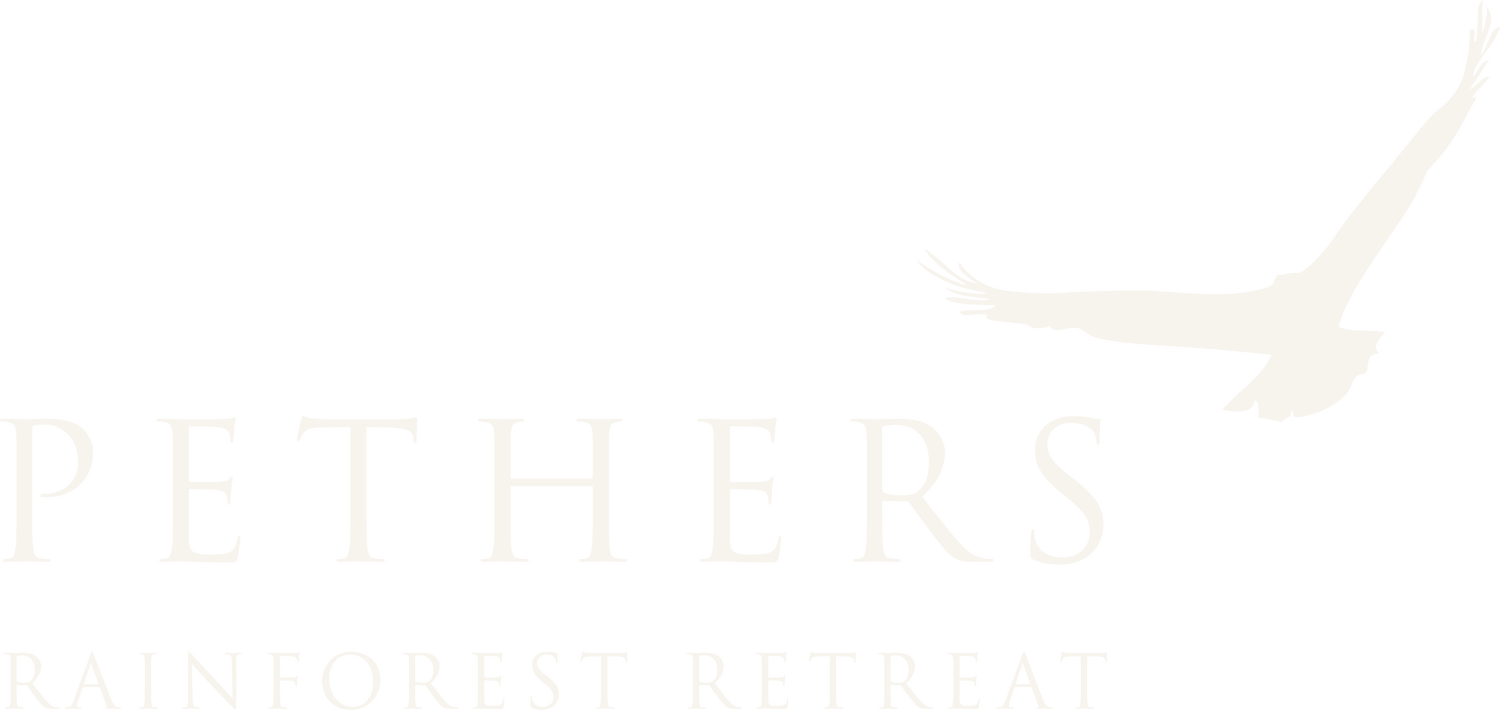 Pethers Rainforest Retreat