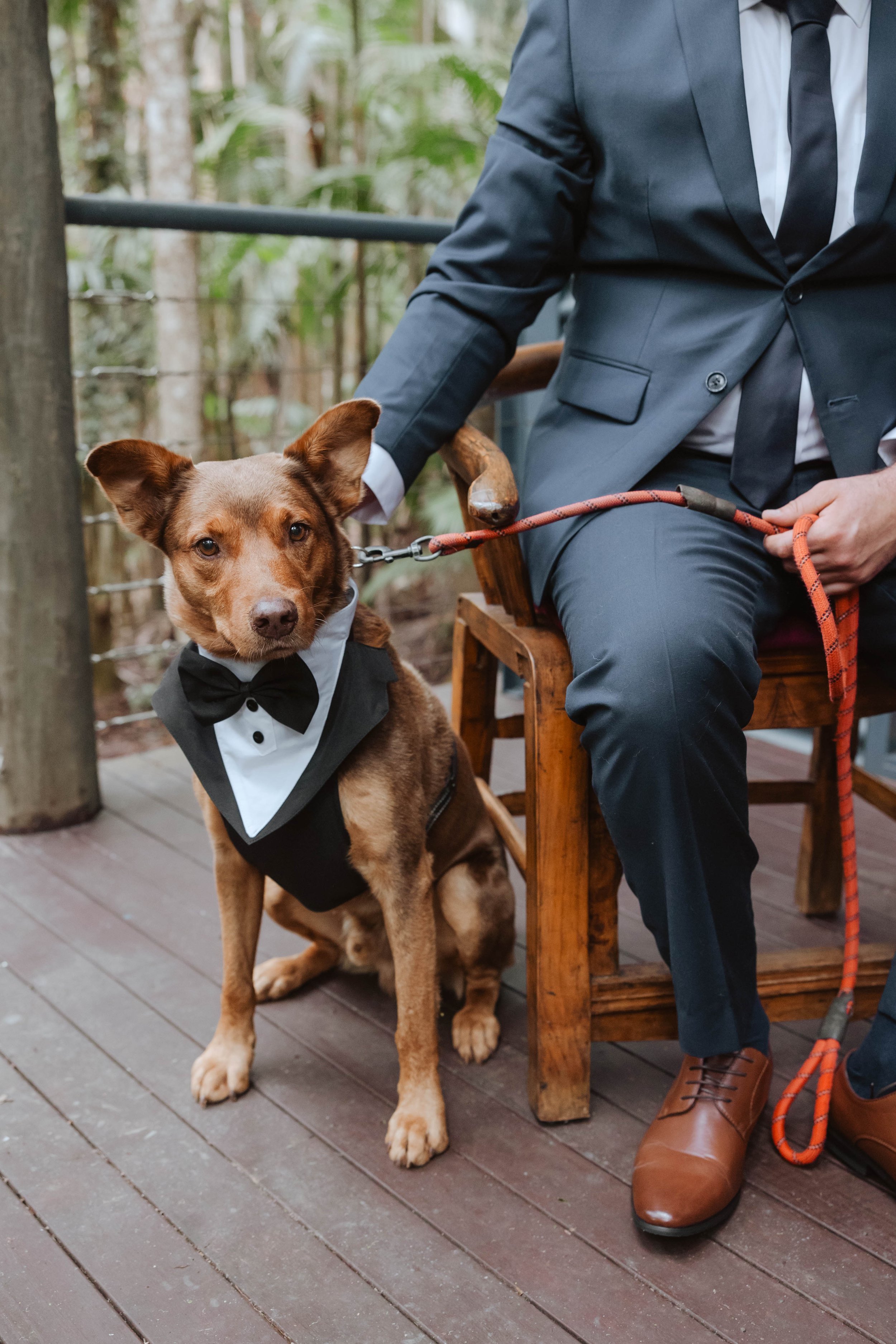 Dog in a bow tie sitting beside a groom on the deck