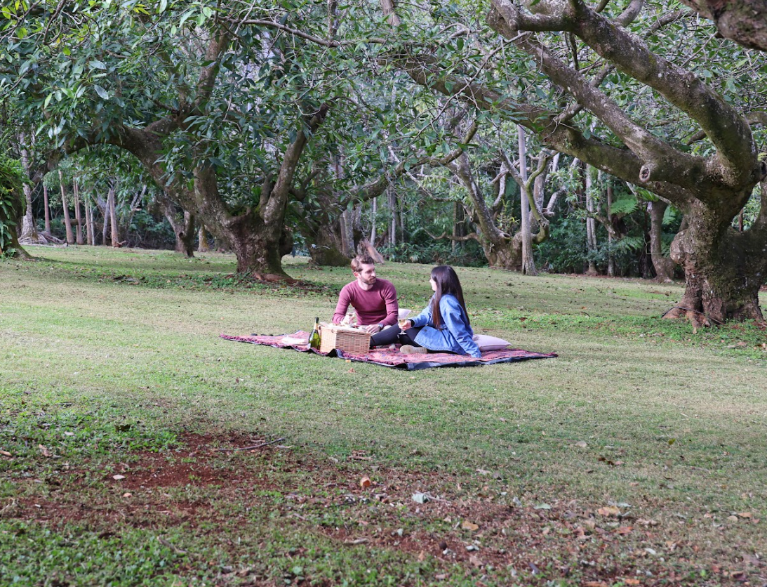 A man and woman having a picnic on a blanket in a park with large trees.