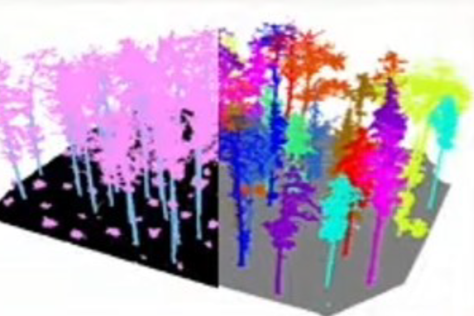 Software images