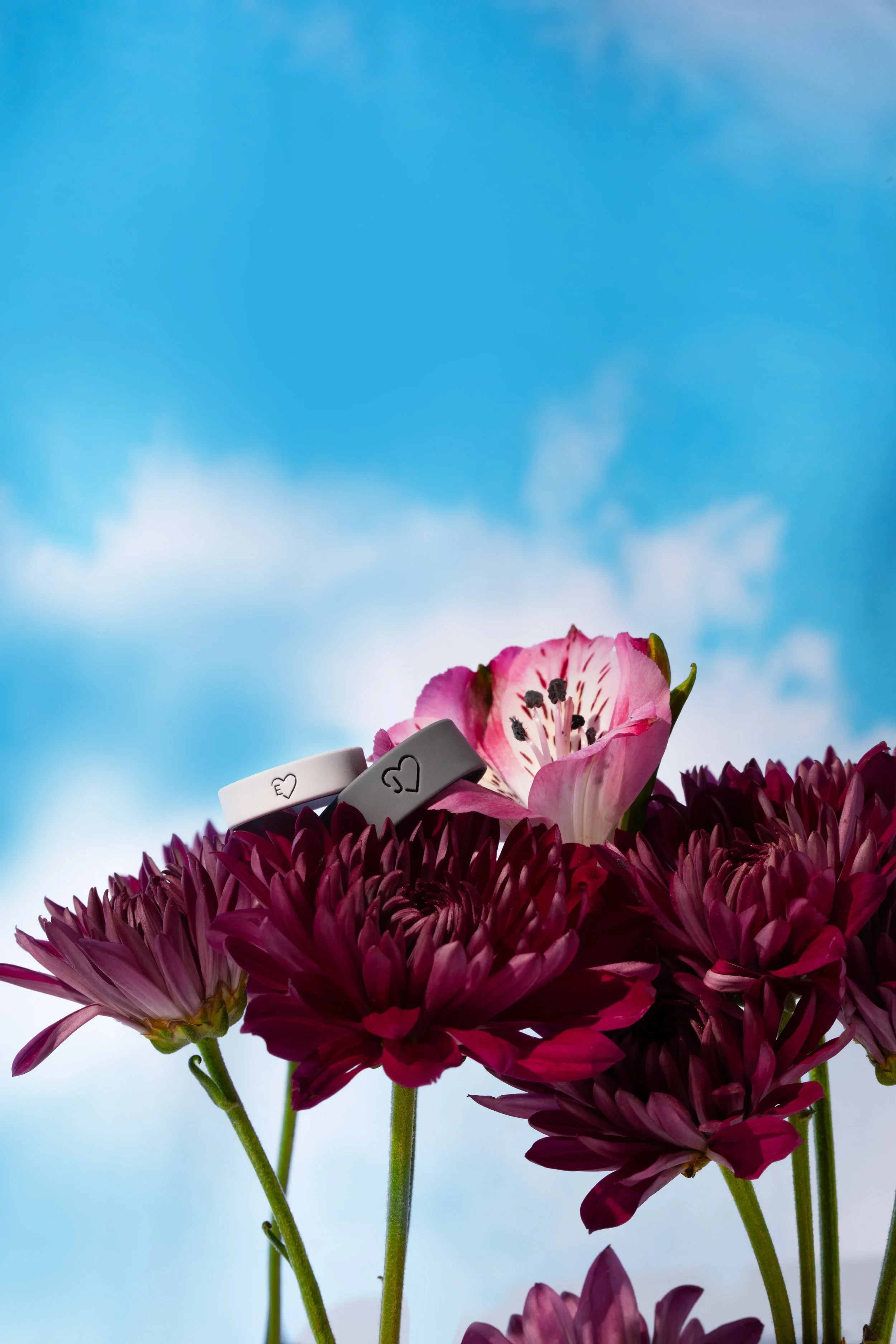 QLO_Valentines_N2A7758_Rasun_Edited.jpg.webp