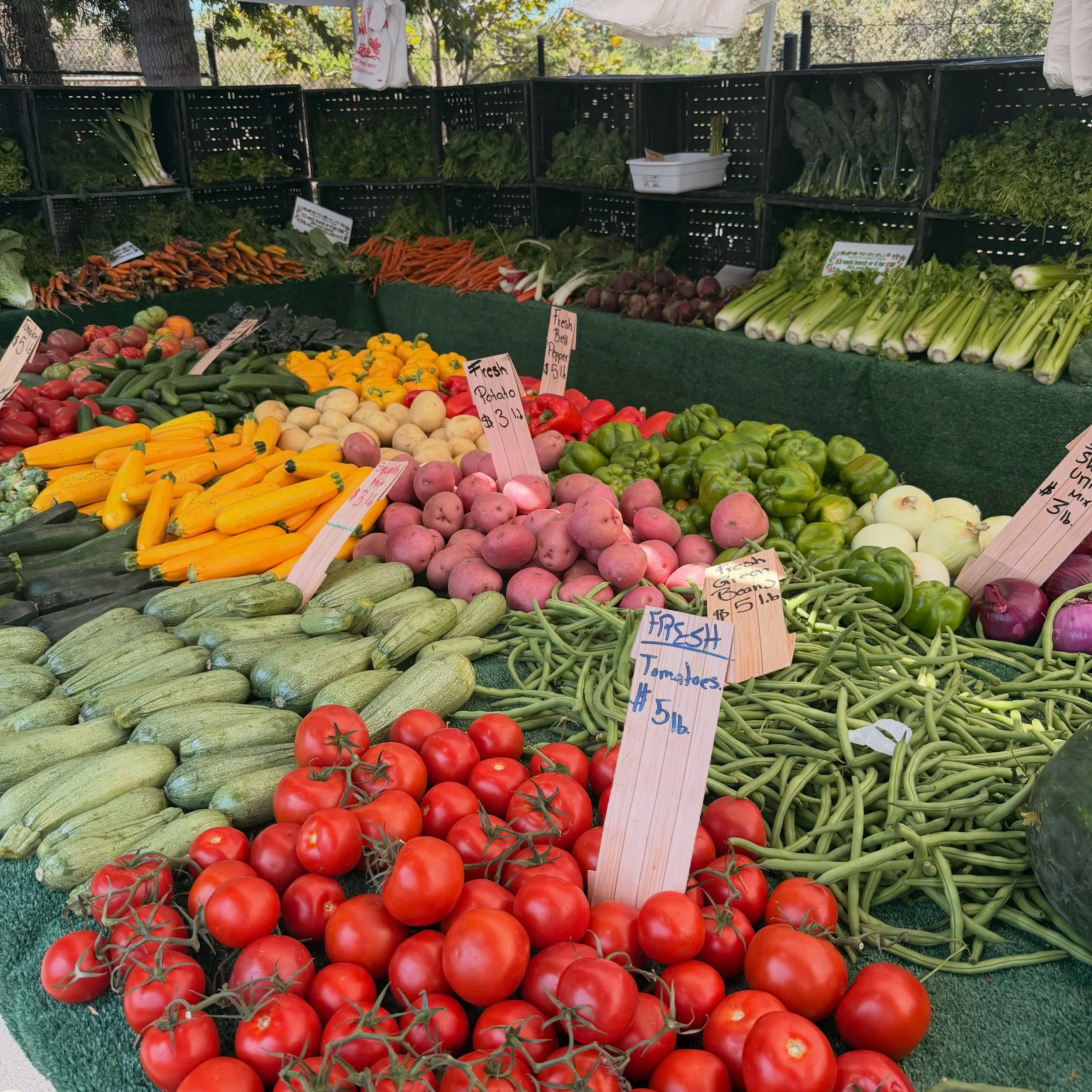 Last weekend I shopped @bhamfarmersmkt This weekend&rsquo;s meals courtesy of @newportharborcfm Newport Harbor Farmer&rsquo;s Market 😋 everything tasted so good and I&rsquo;m pretty sure this is how we were meant to eat. What&rsquo;s your favorite t