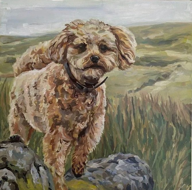 Dog Portrait