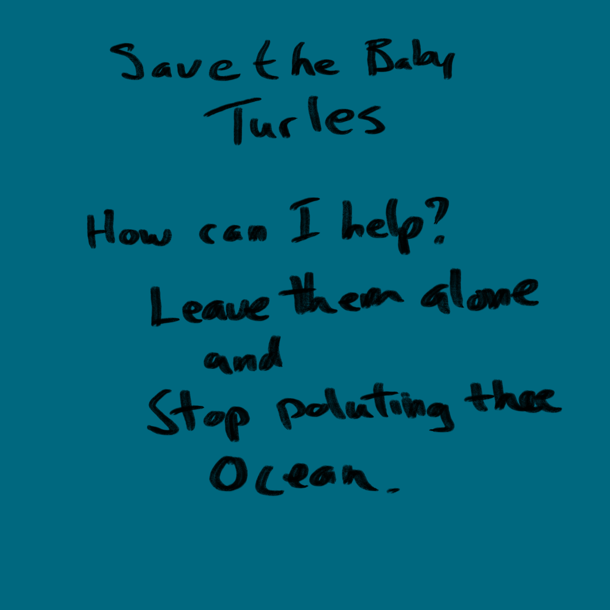 save the baby turtles