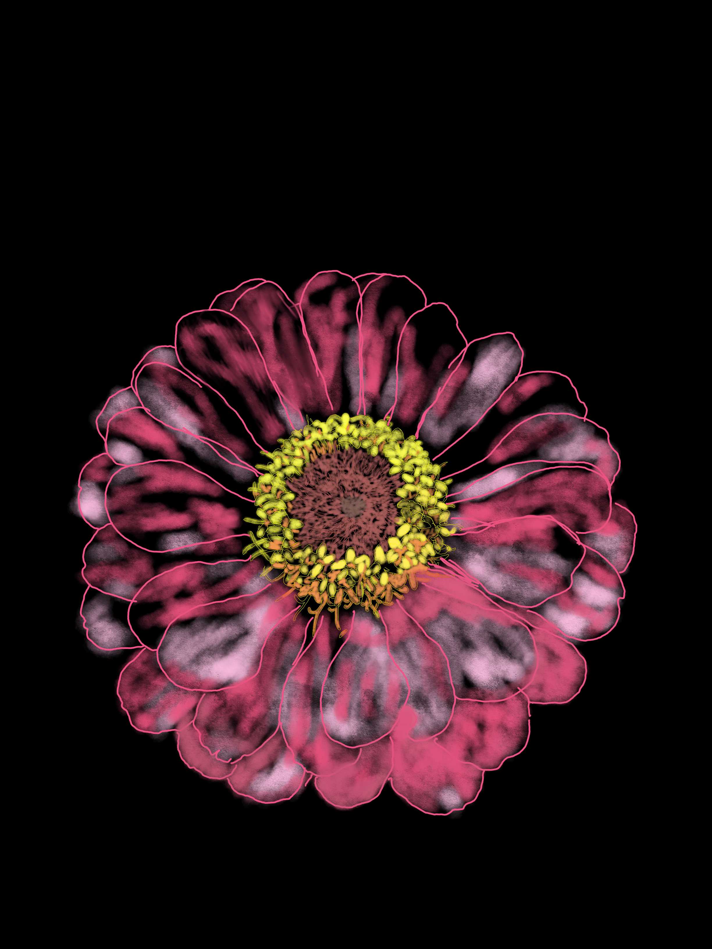 lower Black Background