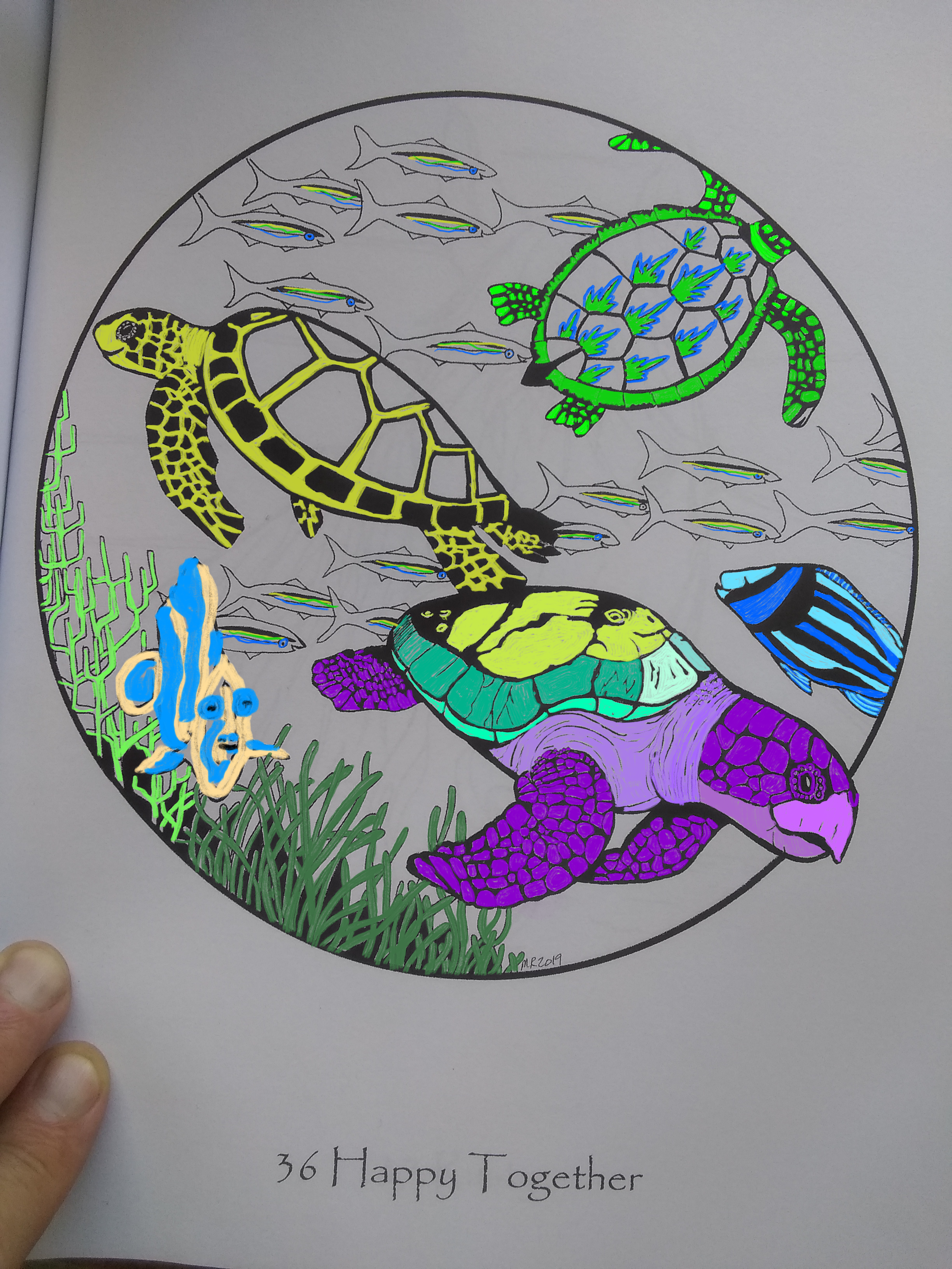 save the baby turtles