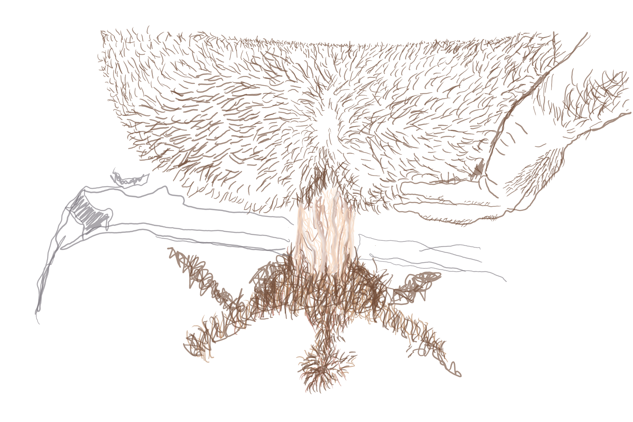 Hairy Fuck